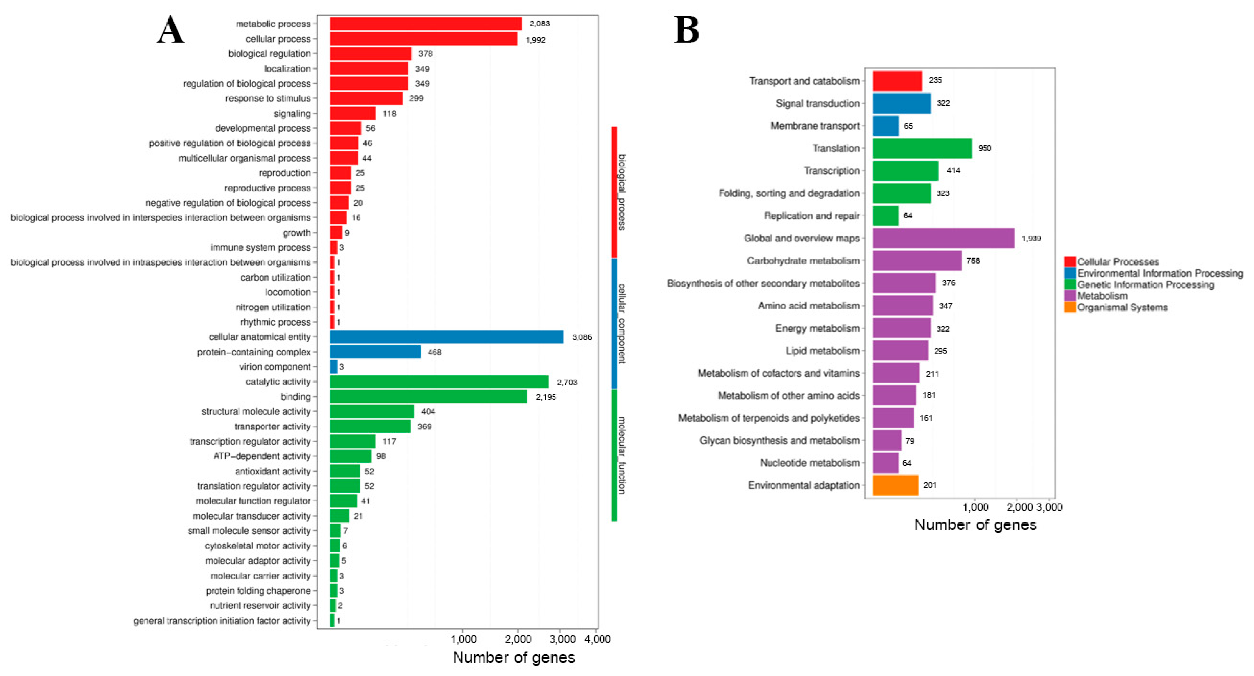 Plants 12 03156 g013