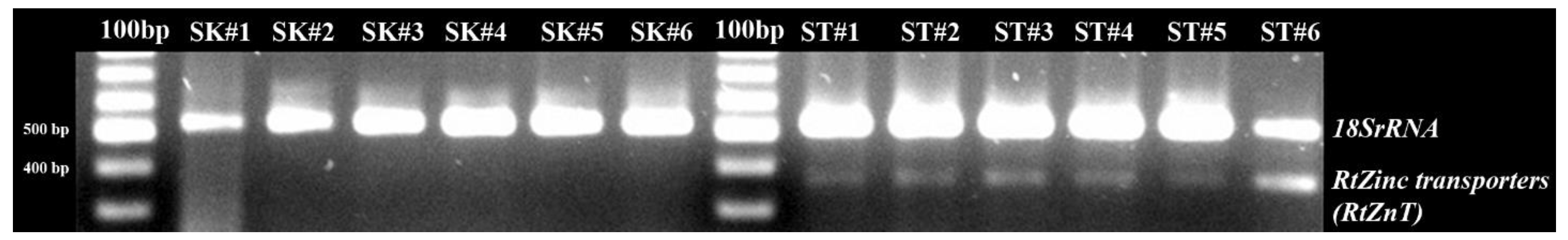 Plants 12 03156 g016