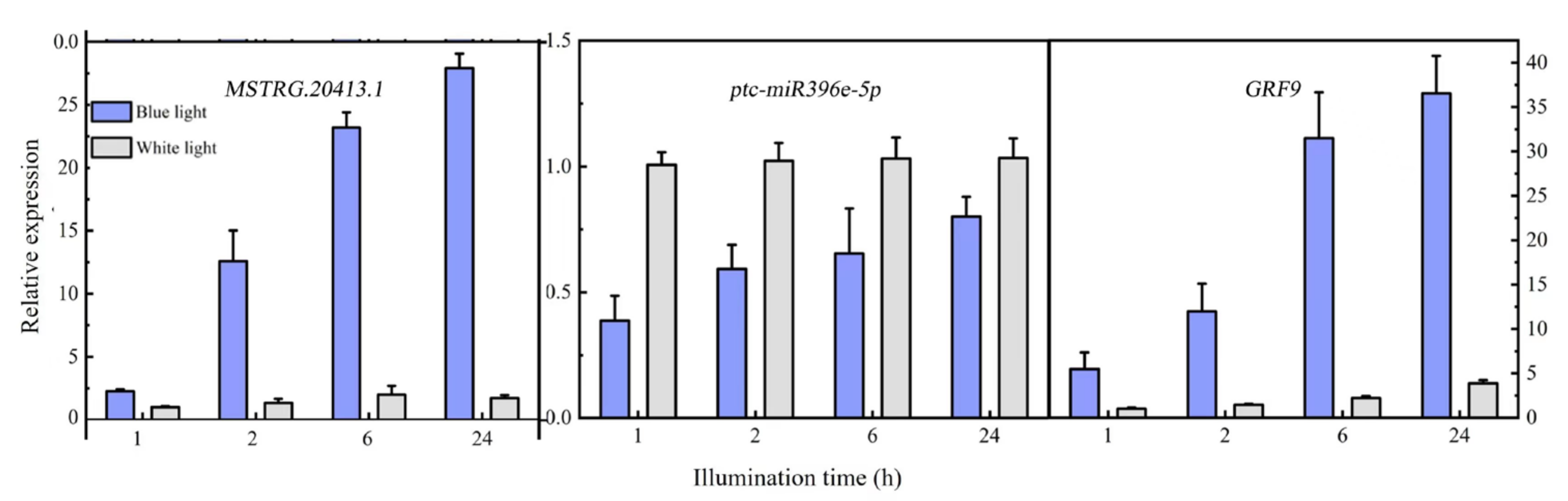 Plants 12 03157 g006 Plants 12 03157 g006