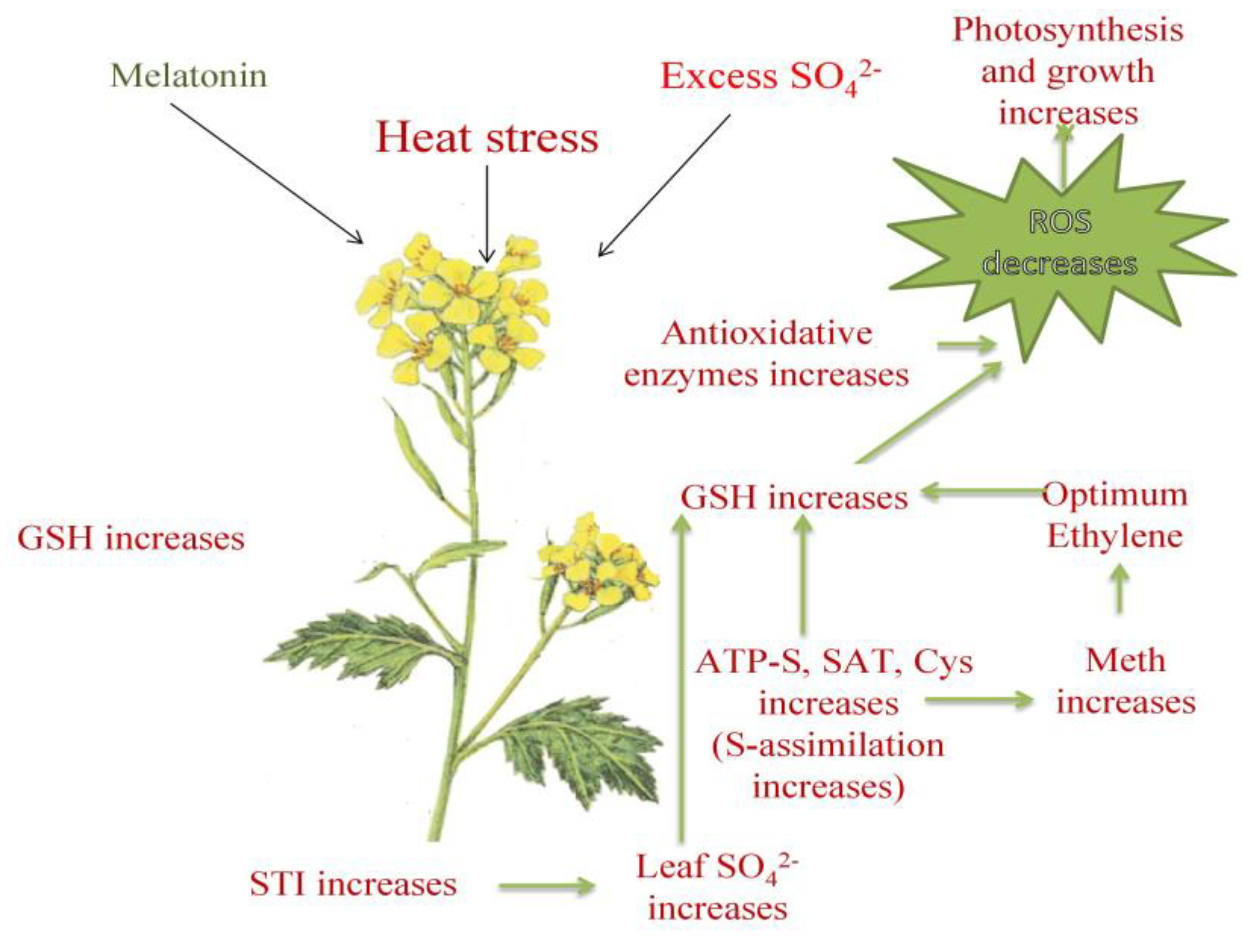 Plants 12 03160 g009