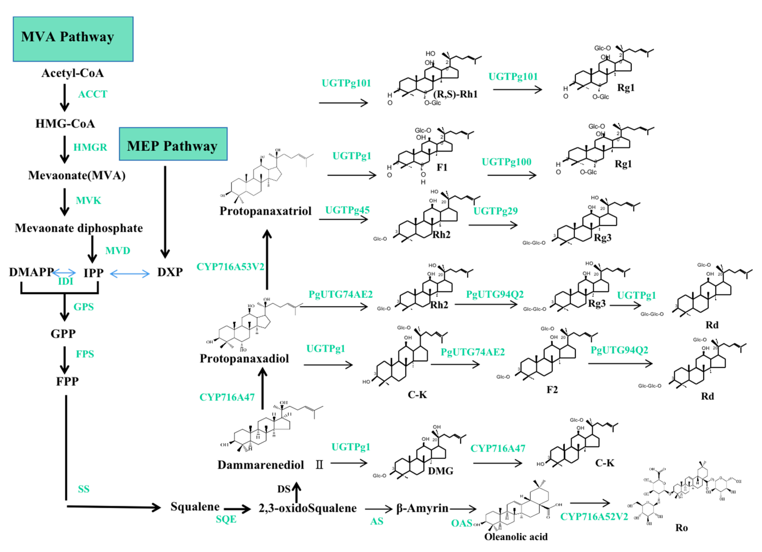 Plants 12 03165 g005