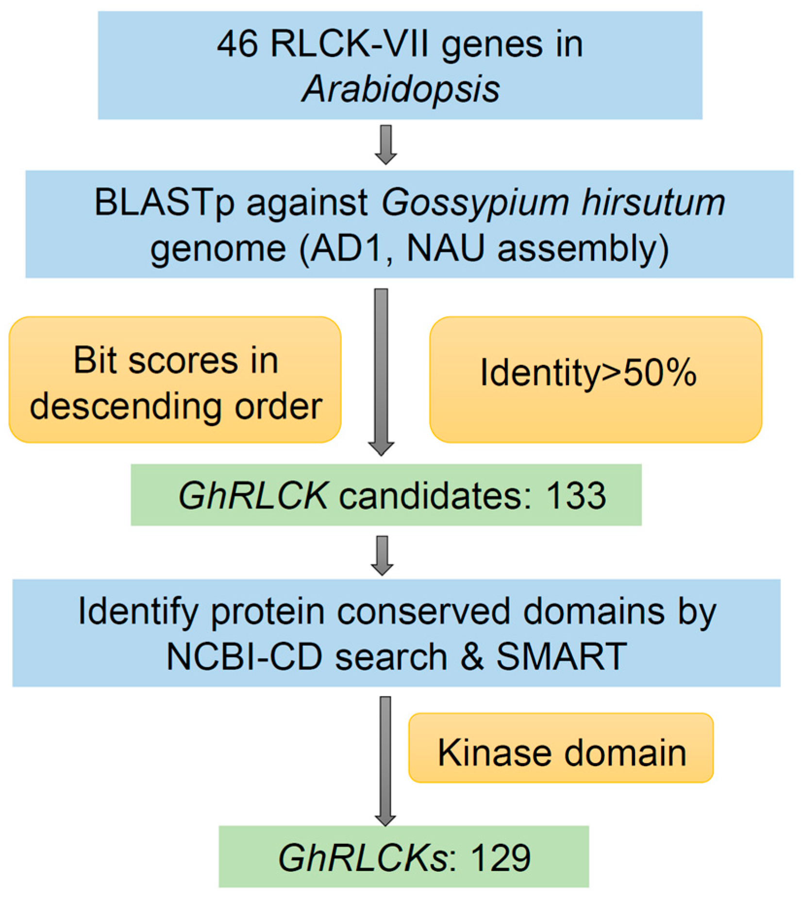 Plants 12 03170 g001