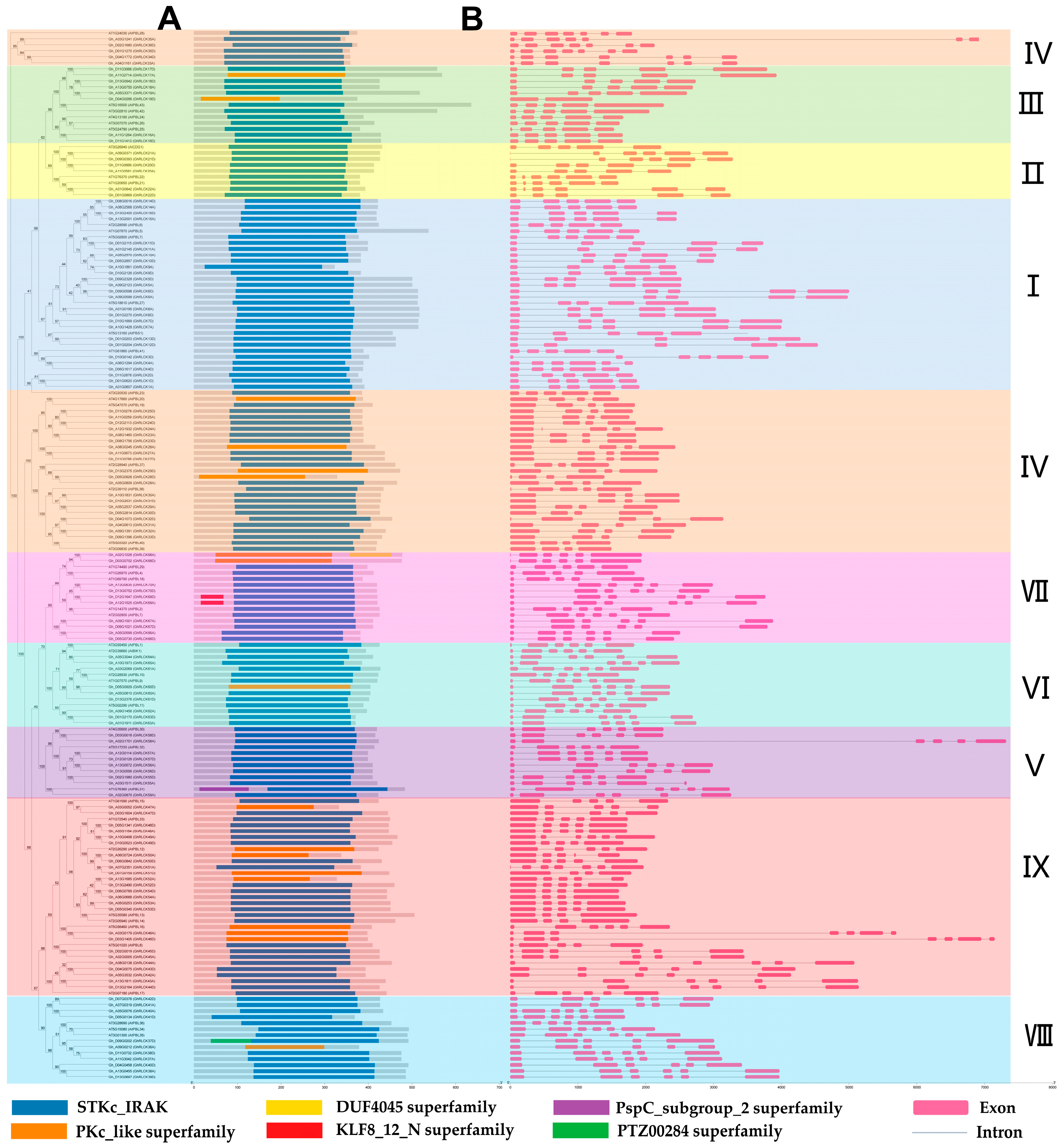 Plants 12 03170 g003