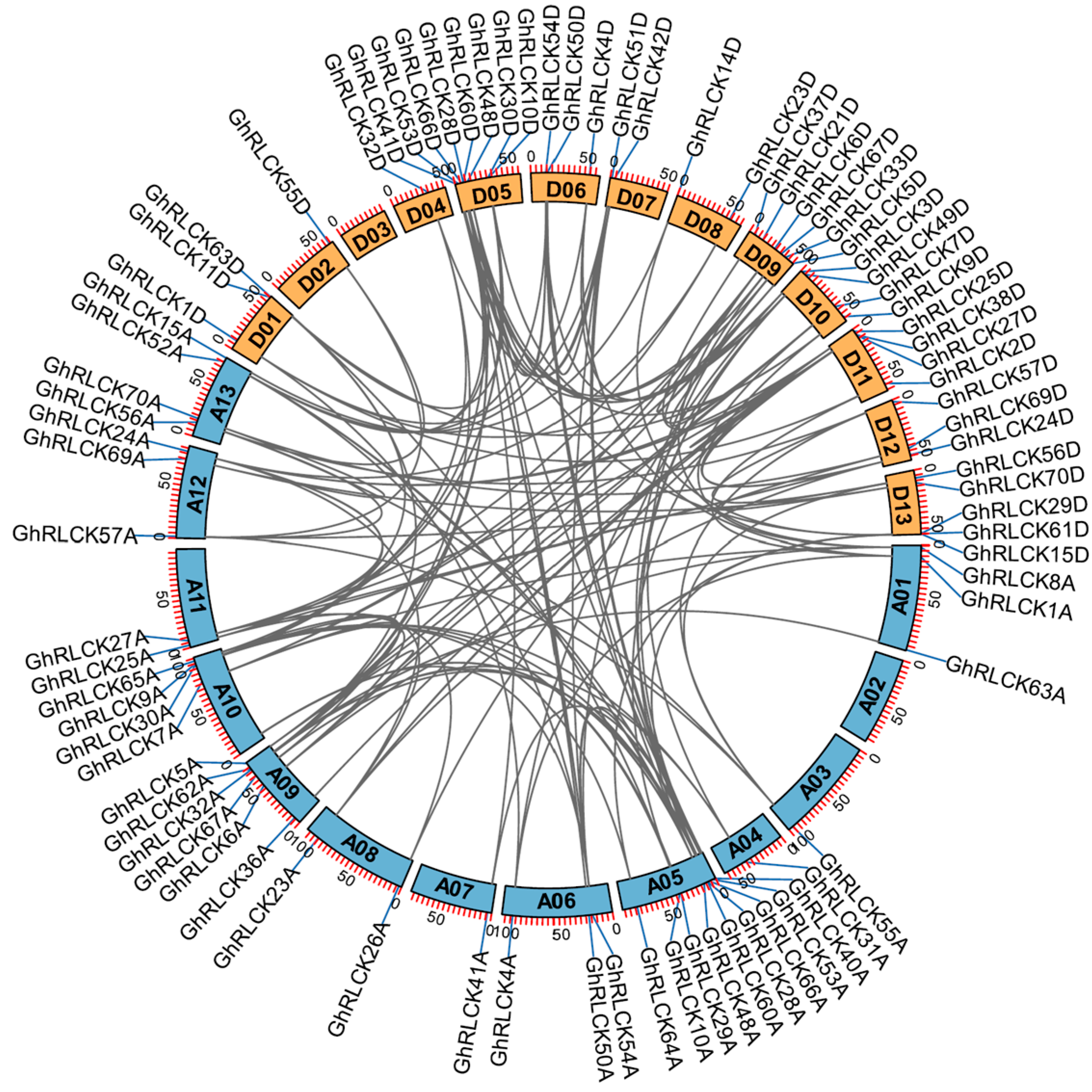 Plants 12 03170 g004