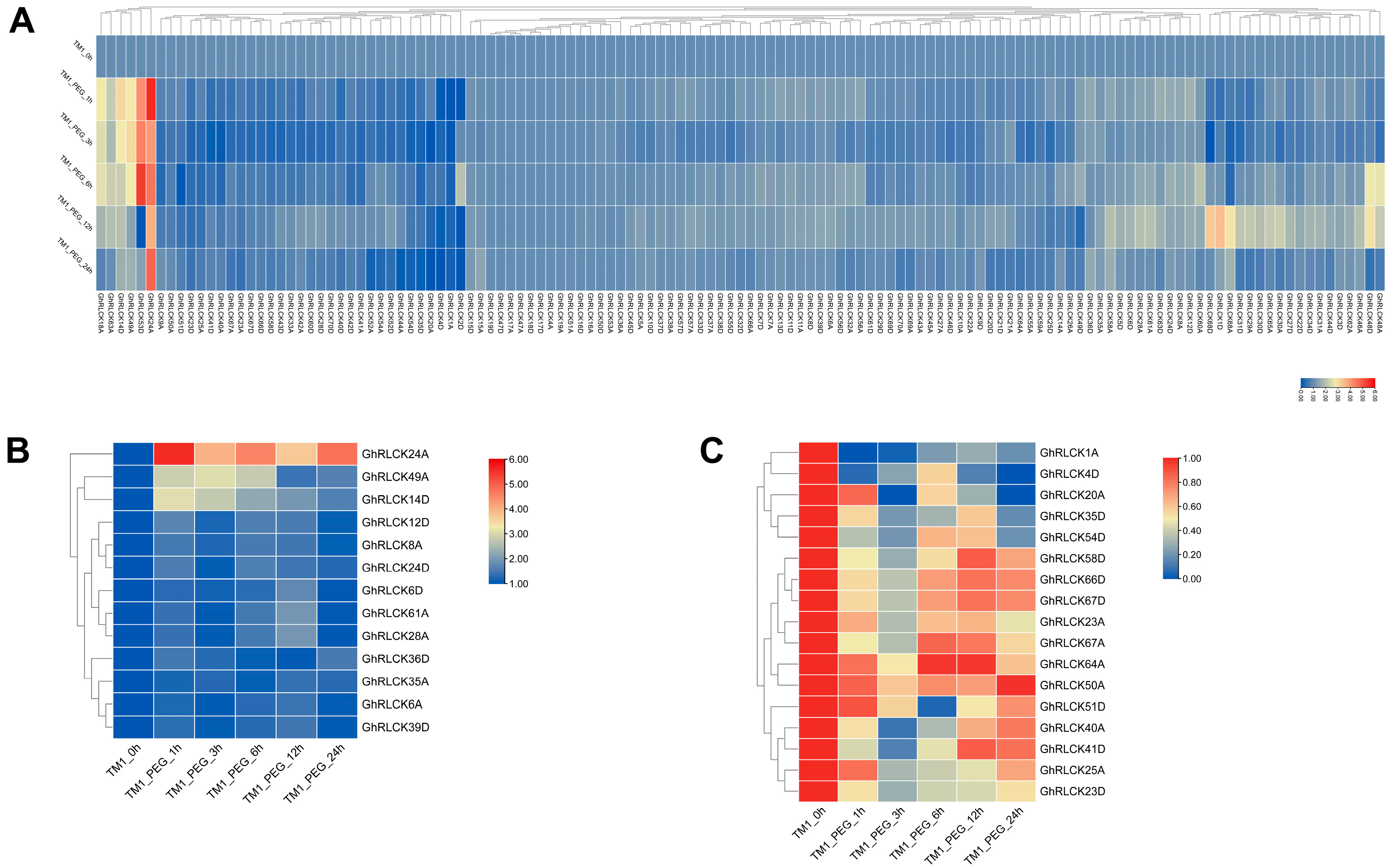 Plants 12 03170 g009