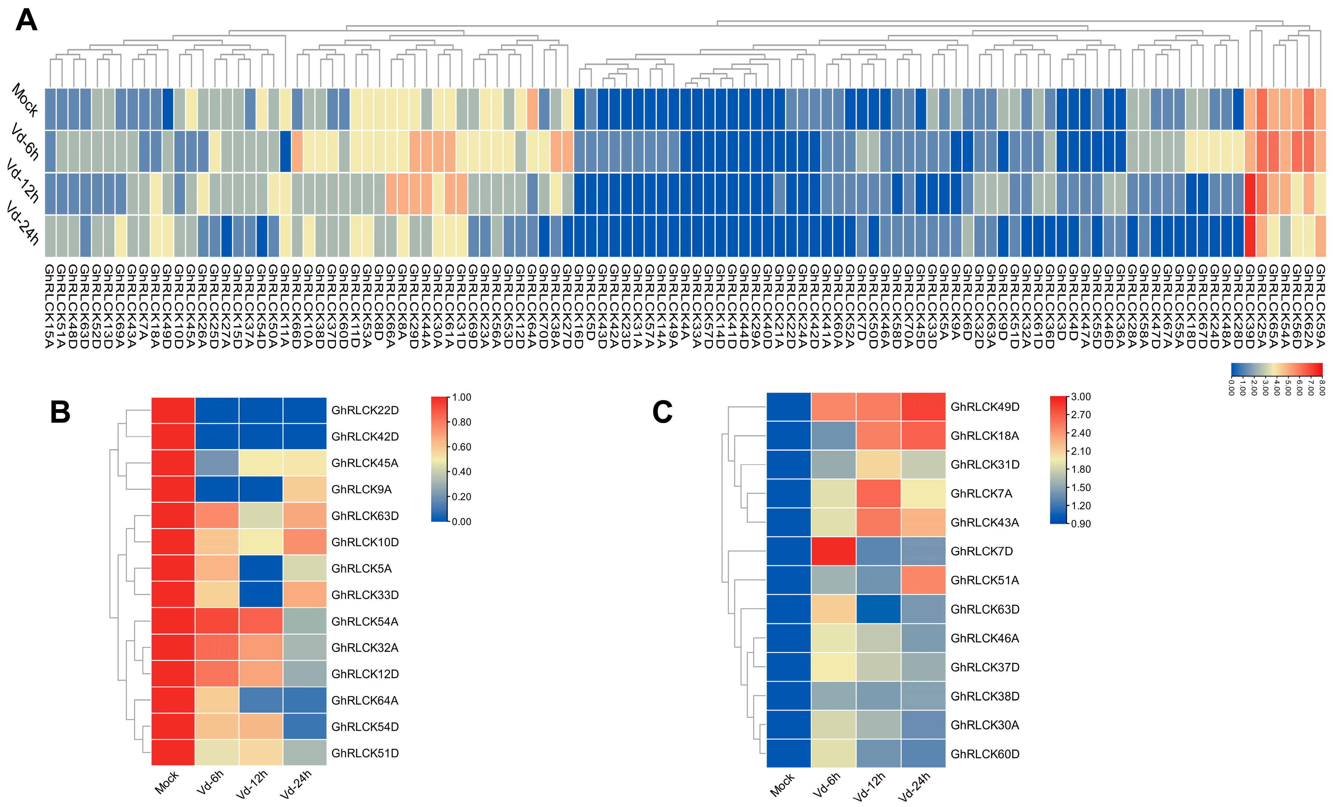 Plants 12 03170 g011