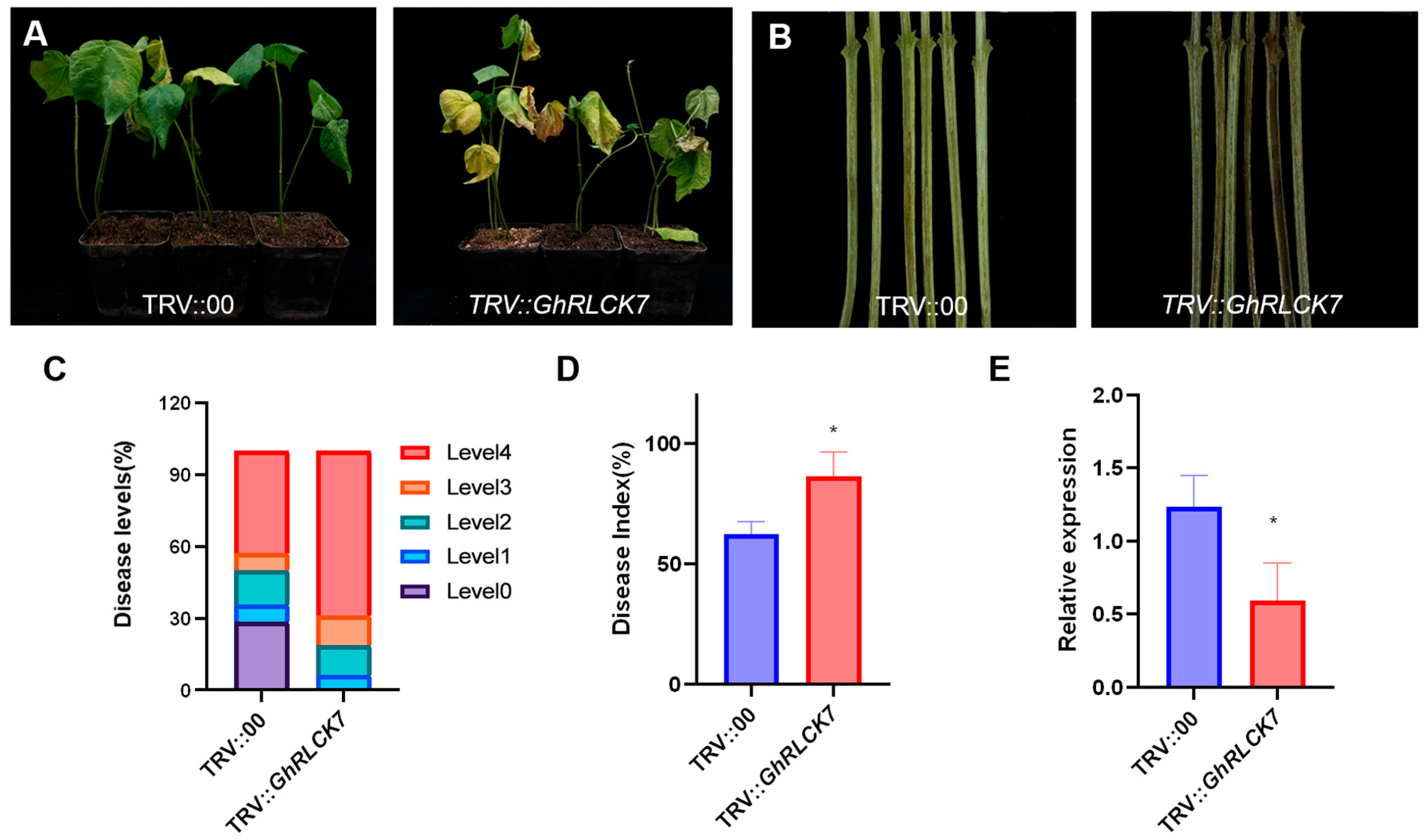 Plants 12 03170 g013