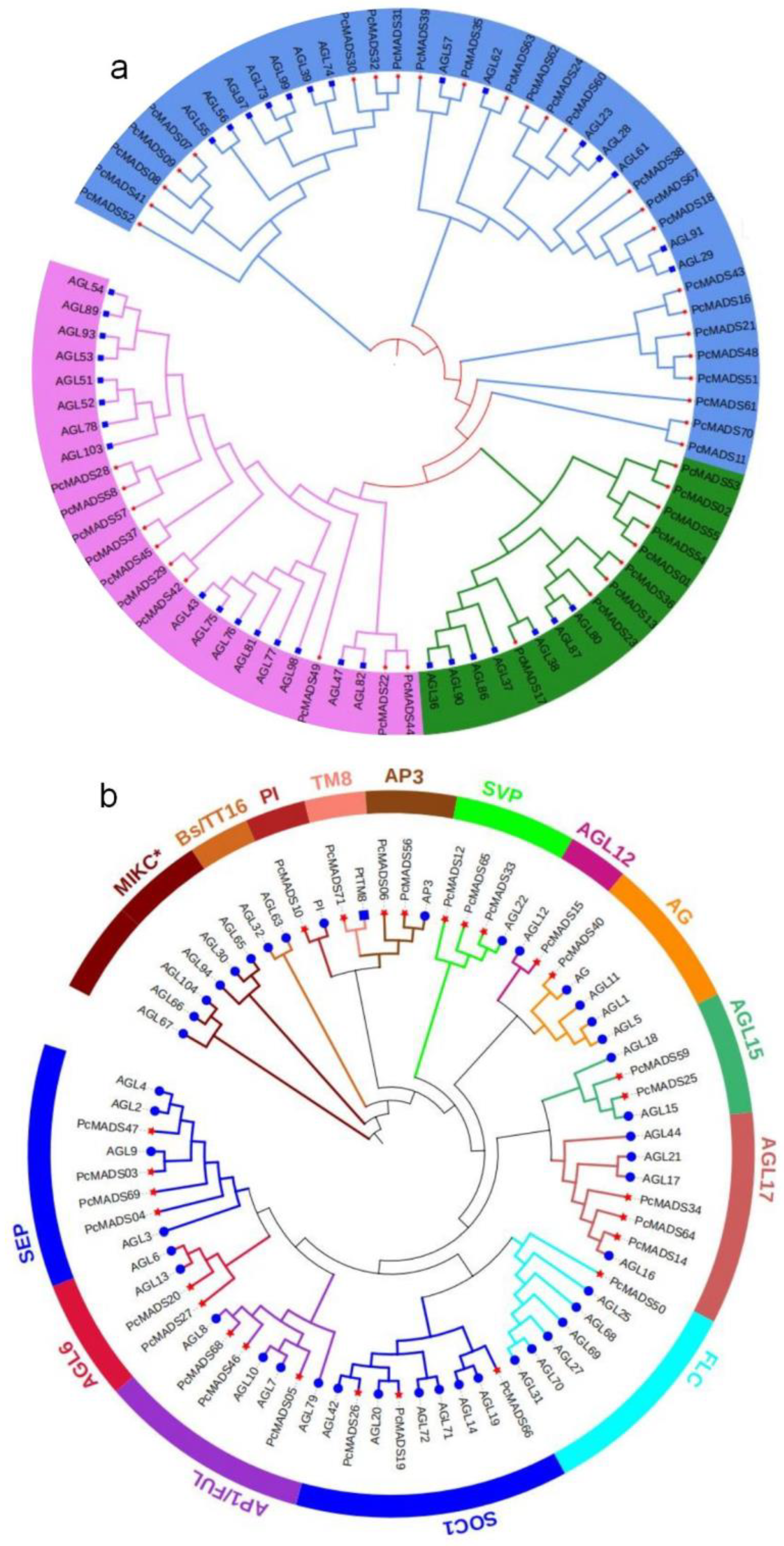Plants 12 03171 g001