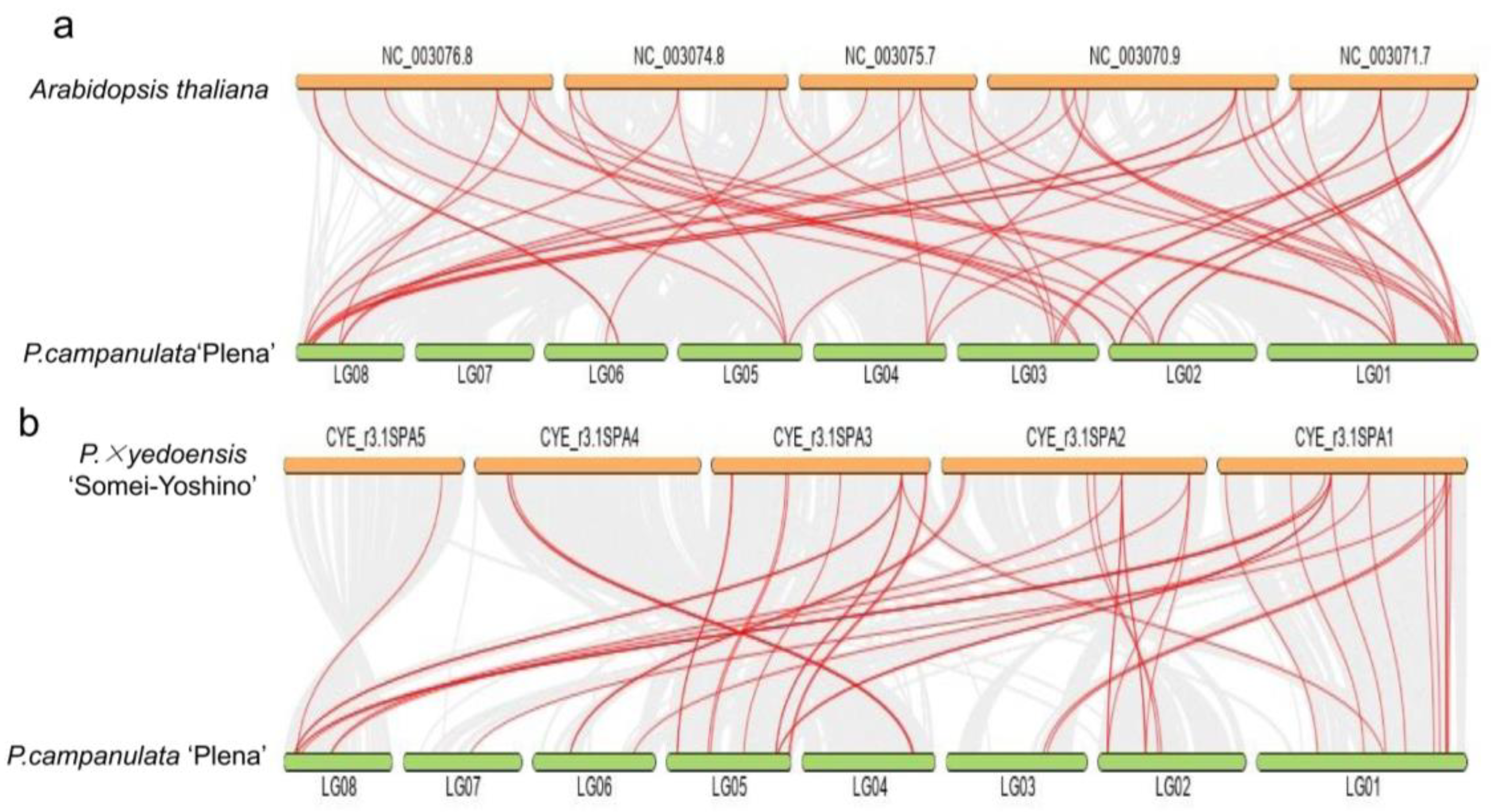 Plants 12 03171 g003