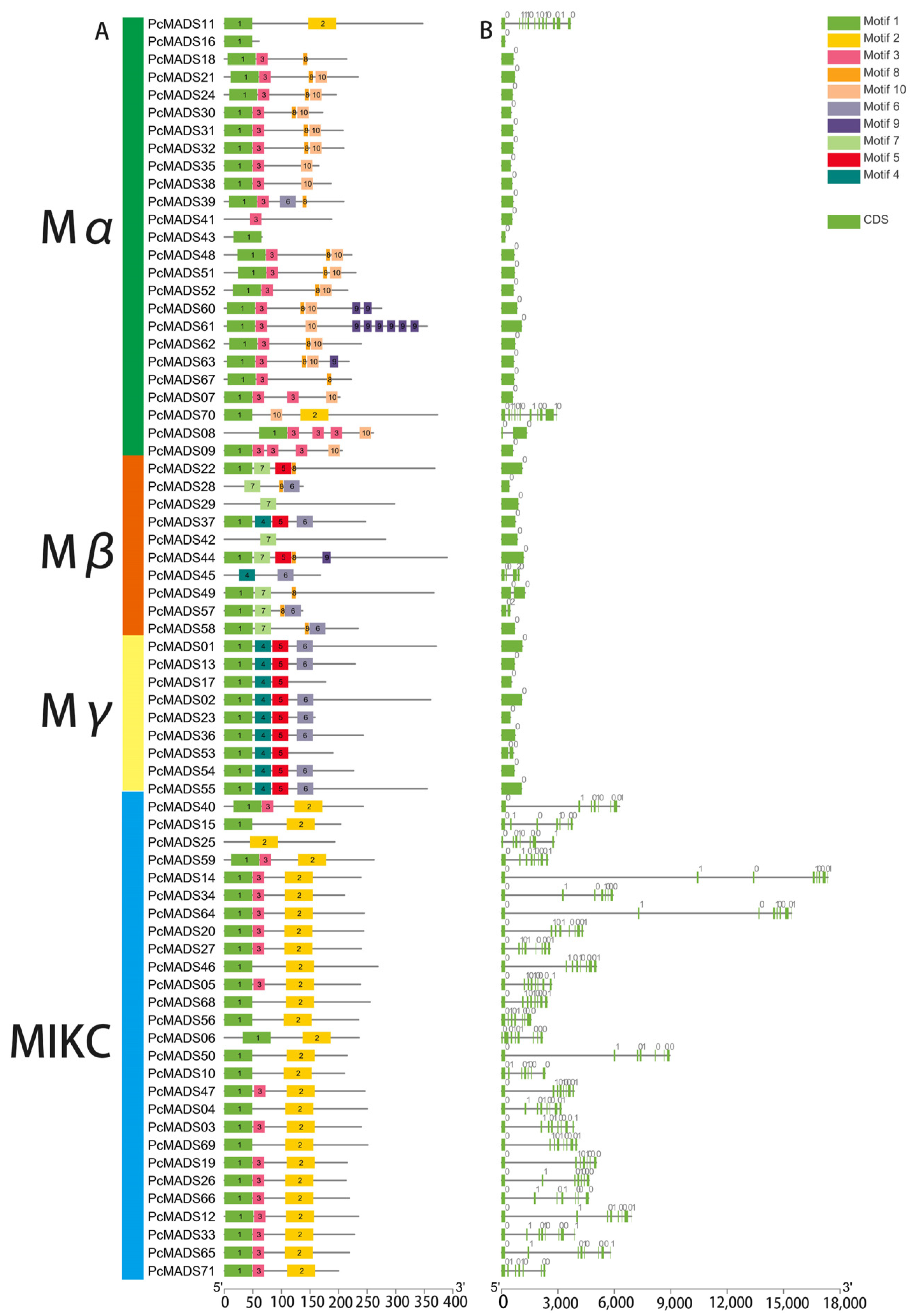 Plants 12 03171 g004