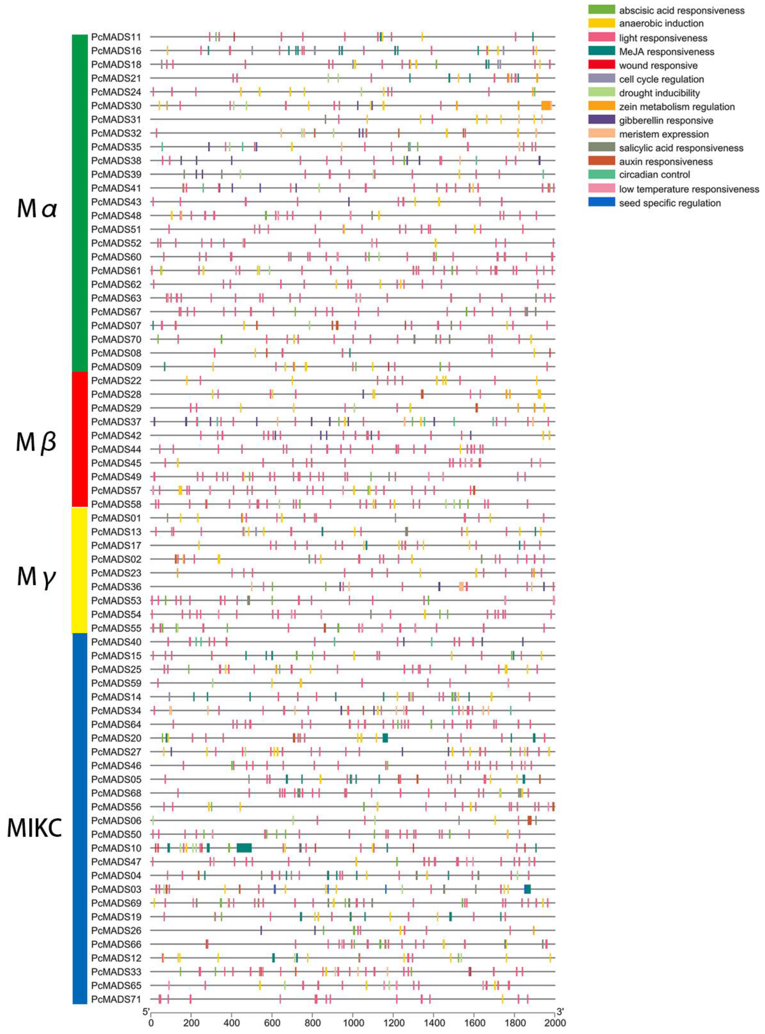 Plants 12 03171 g005