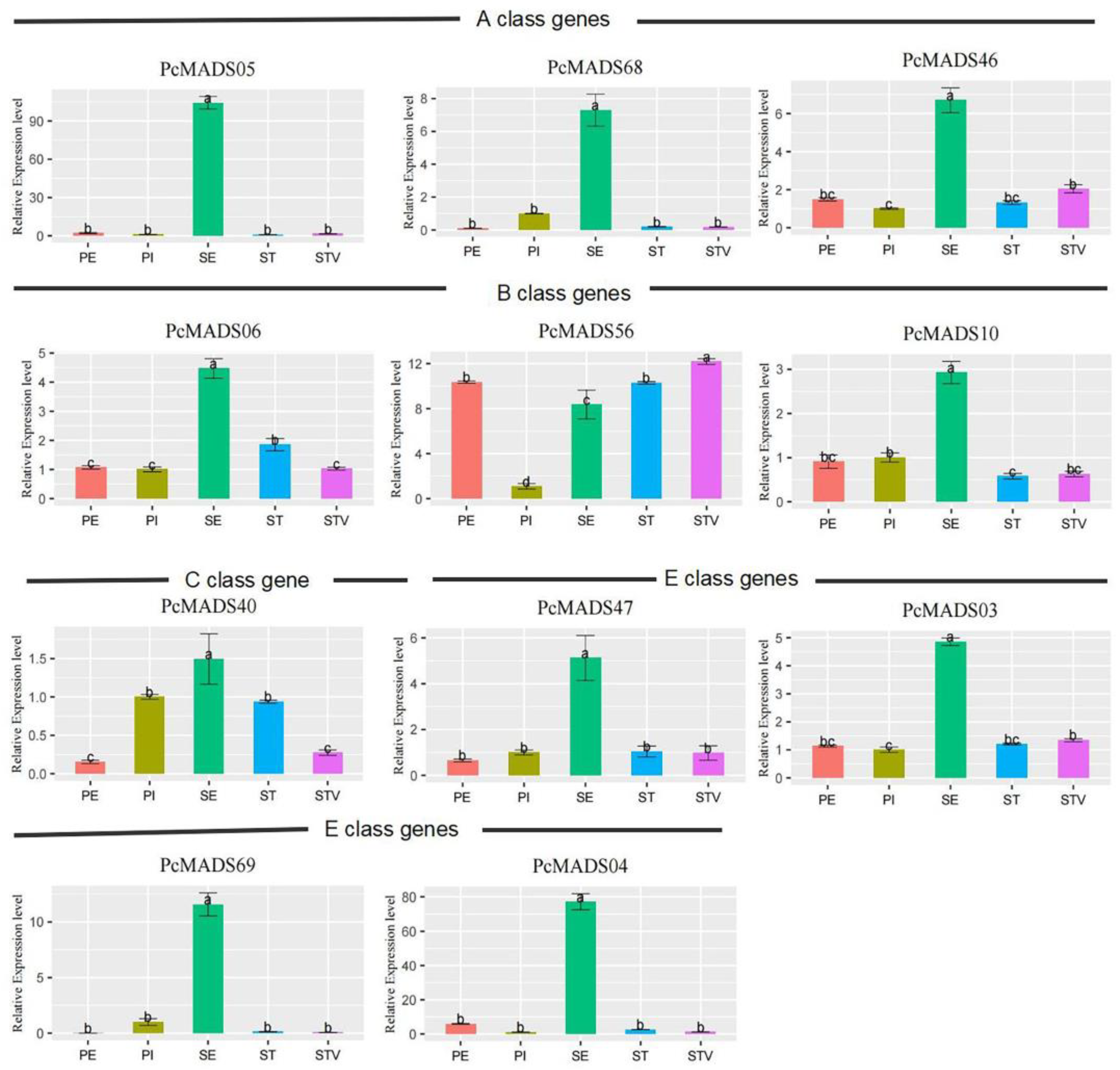 Plants 12 03171 g008