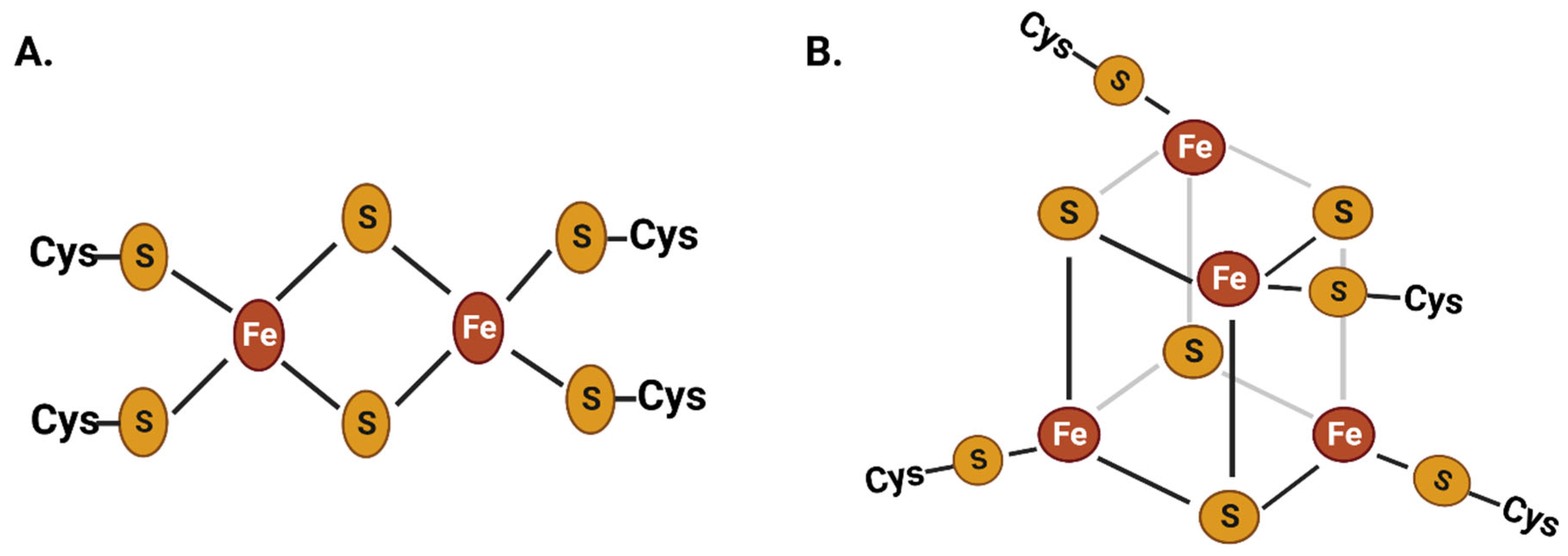 Plants 12 03173 g001 Plants 12 03173 g001