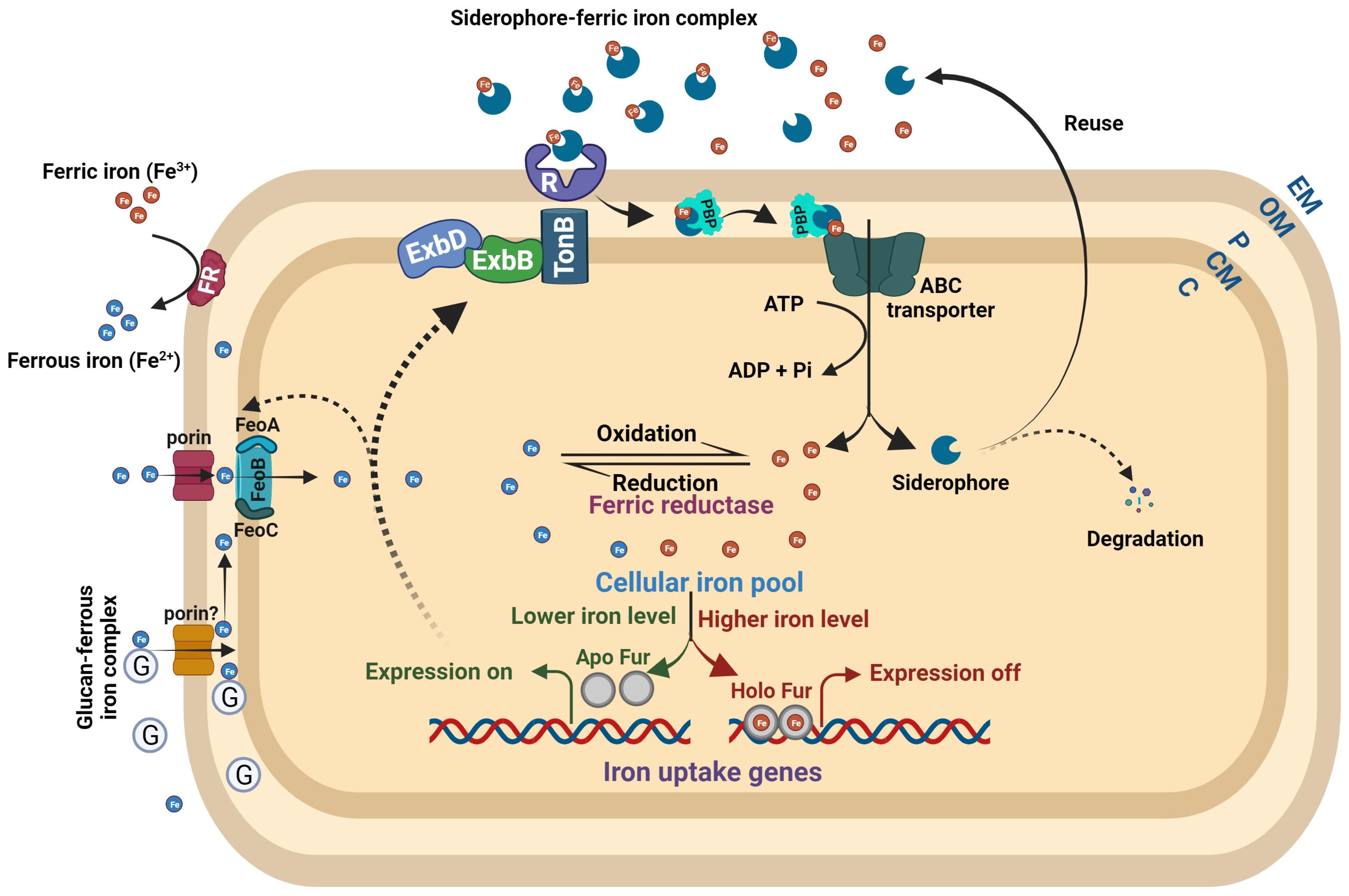 Plants 12 03173 g002 Plants 12 03173 g002