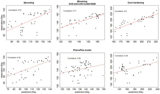 Plants 12 03181 g0a2