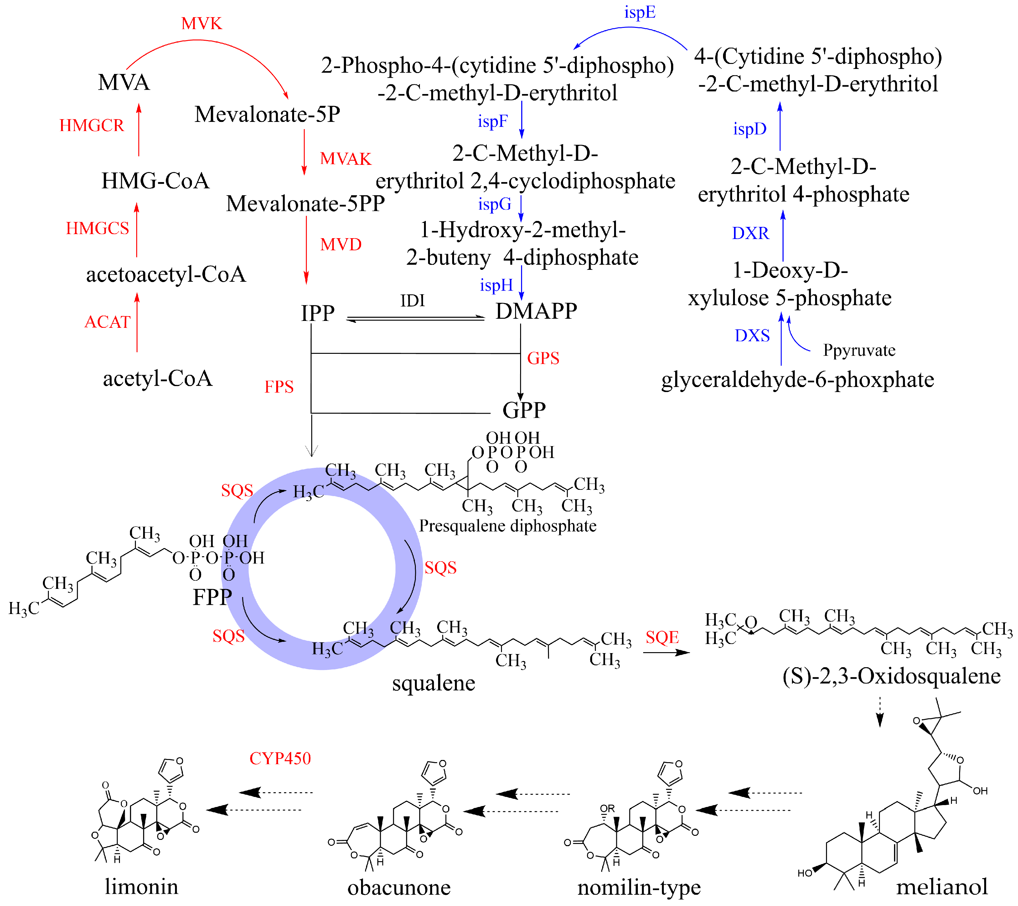 Plants 12 03197 g001