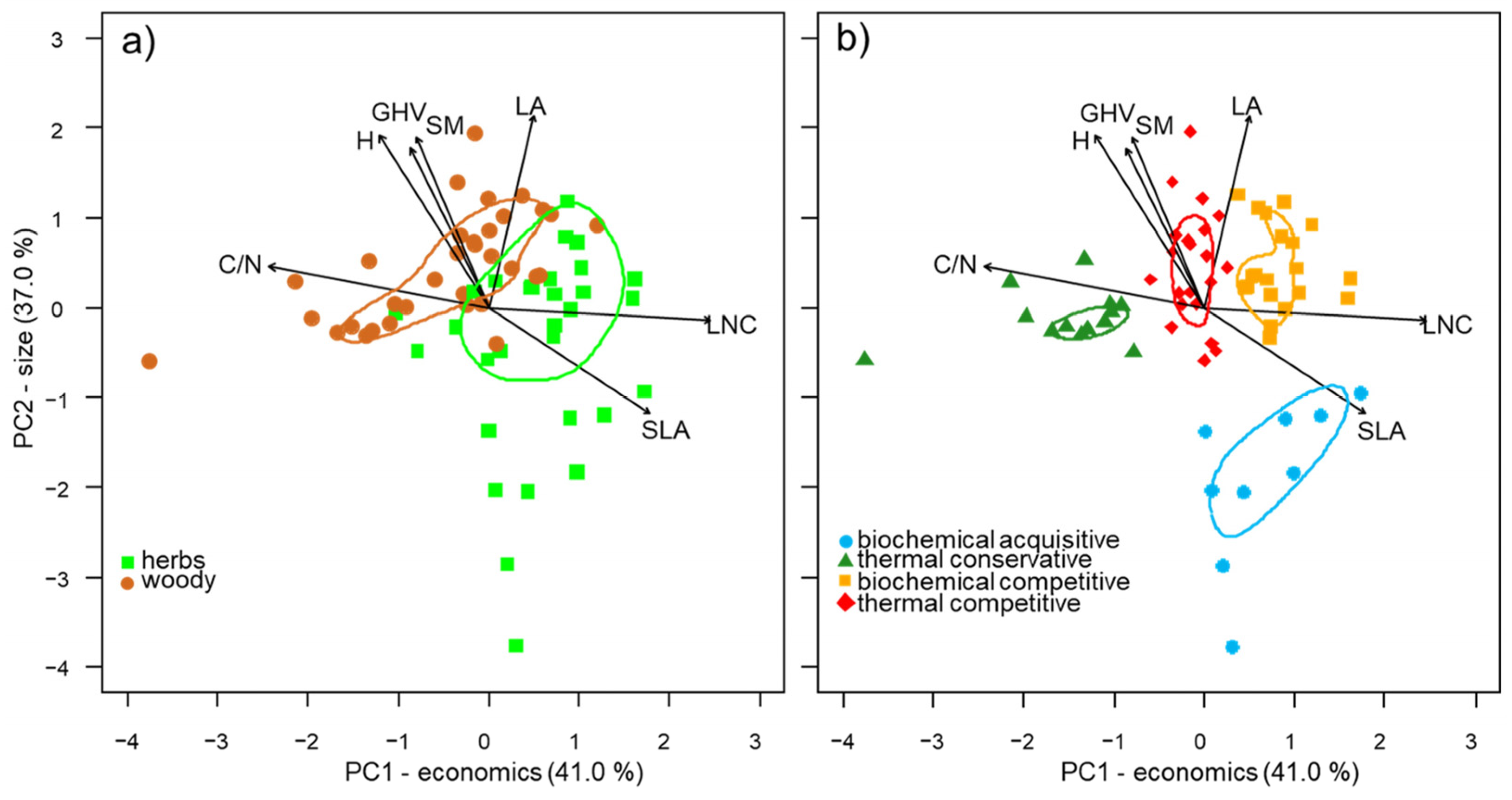 Plants 12 03198 g001