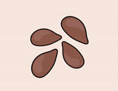 Plants 12 03213 i002