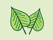 Plants 12 03213 i003