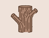 Plants 12 03213 i004