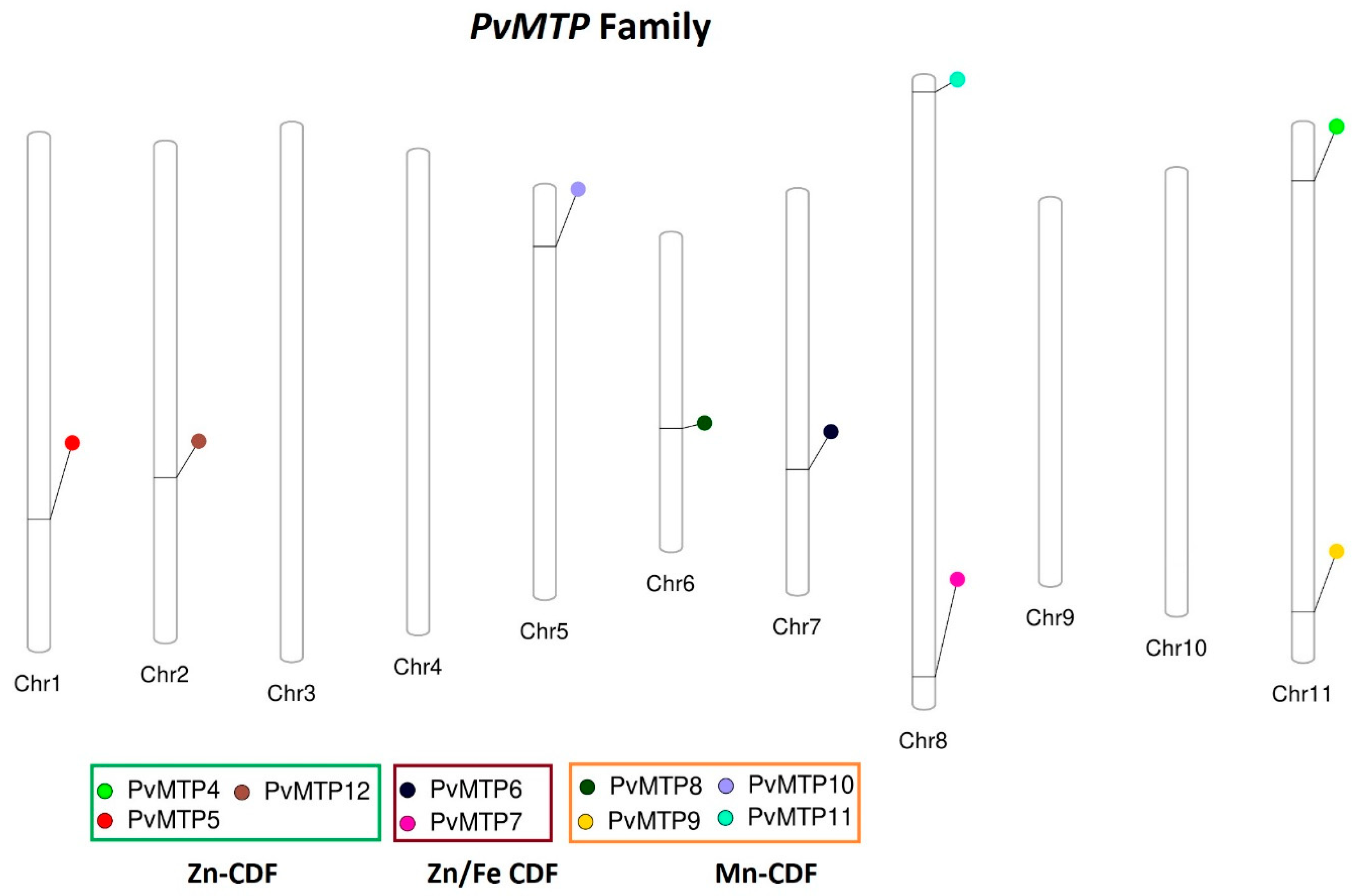 Plants 12 03218 g001