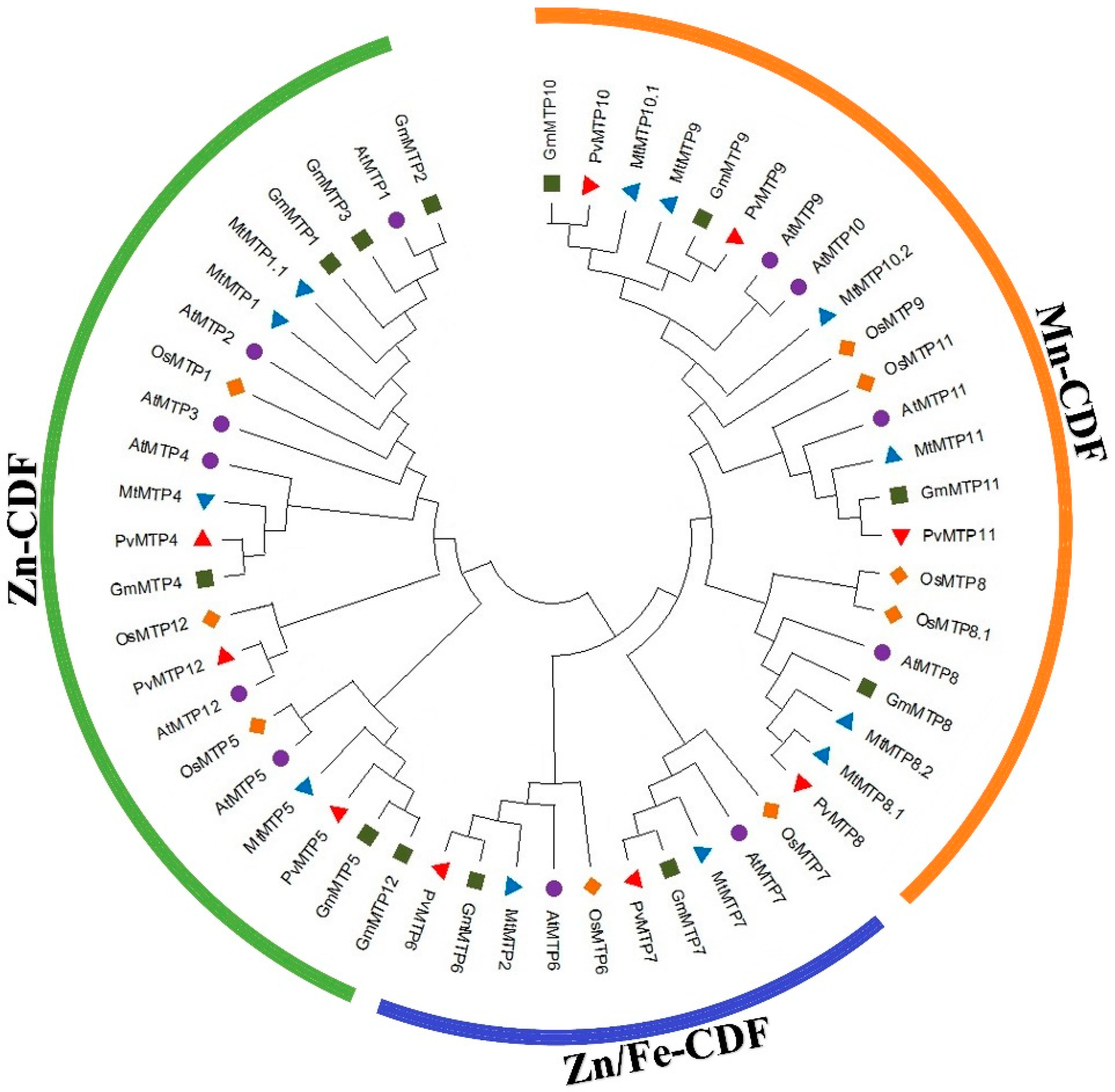 Plants 12 03218 g002