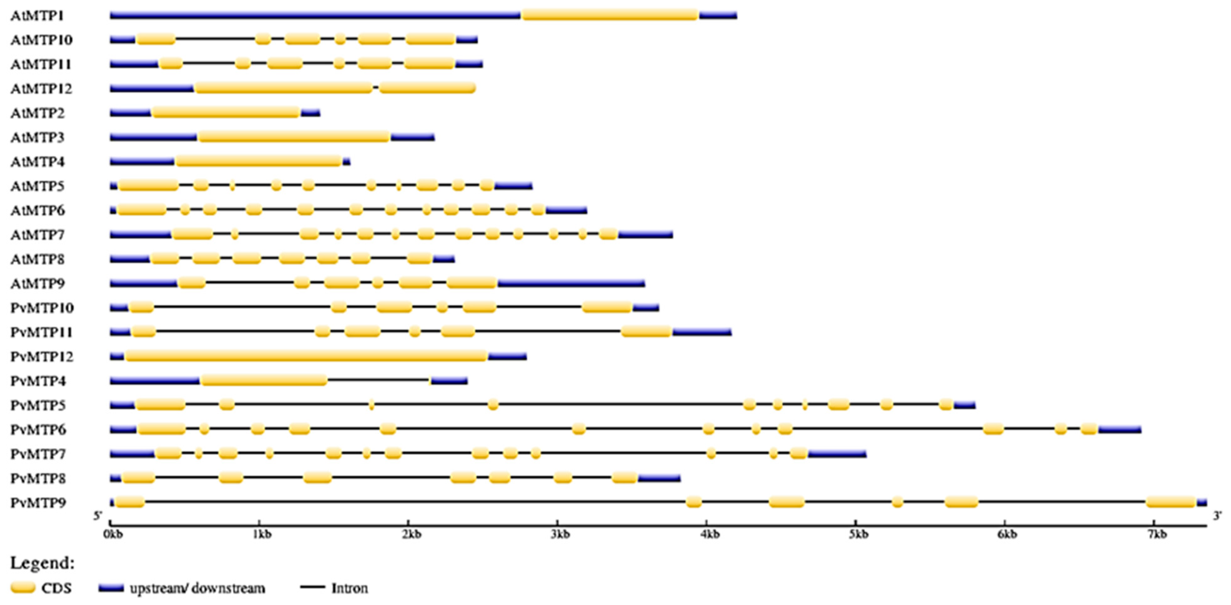 Plants 12 03218 g003