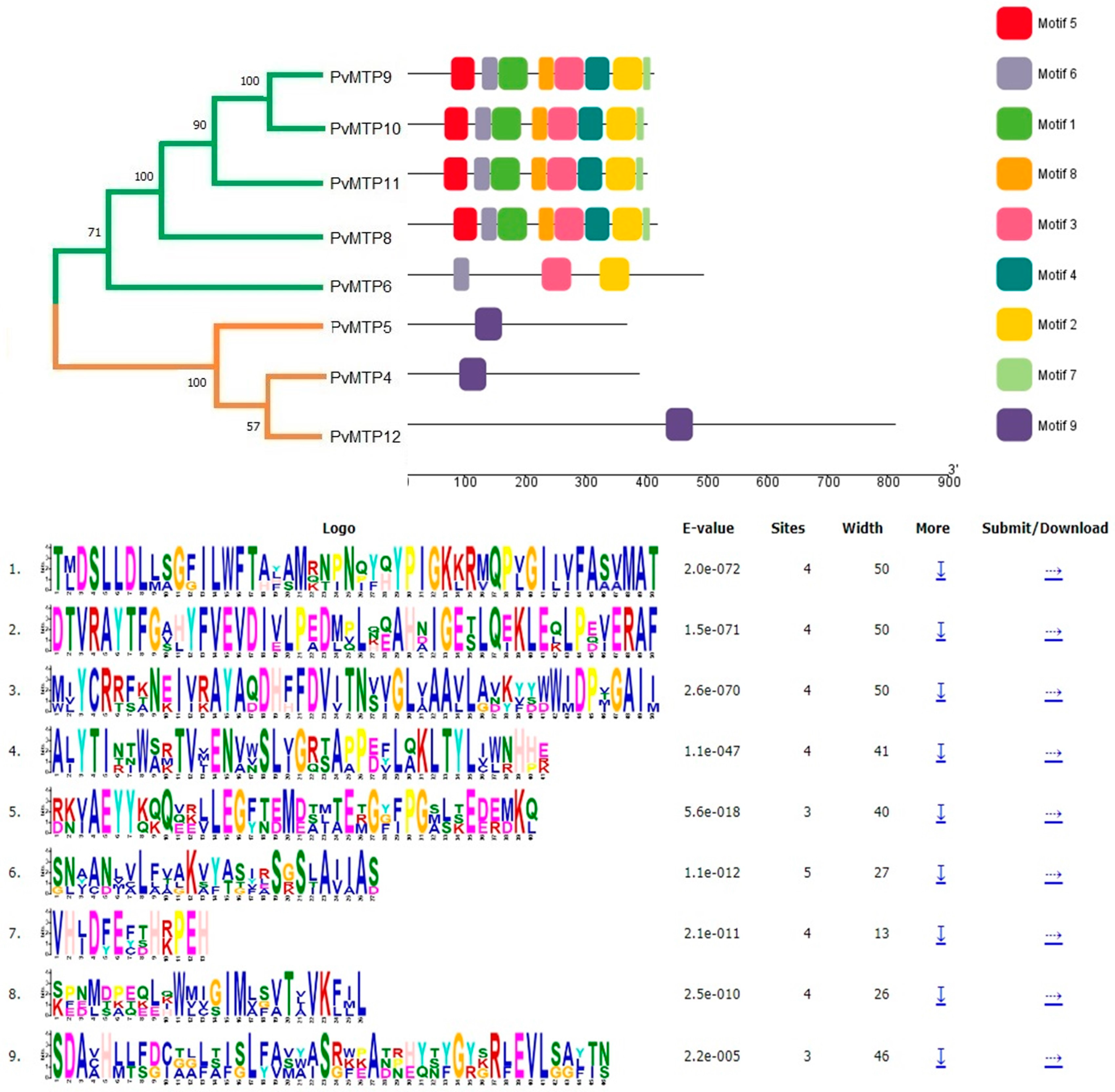 Plants 12 03218 g004