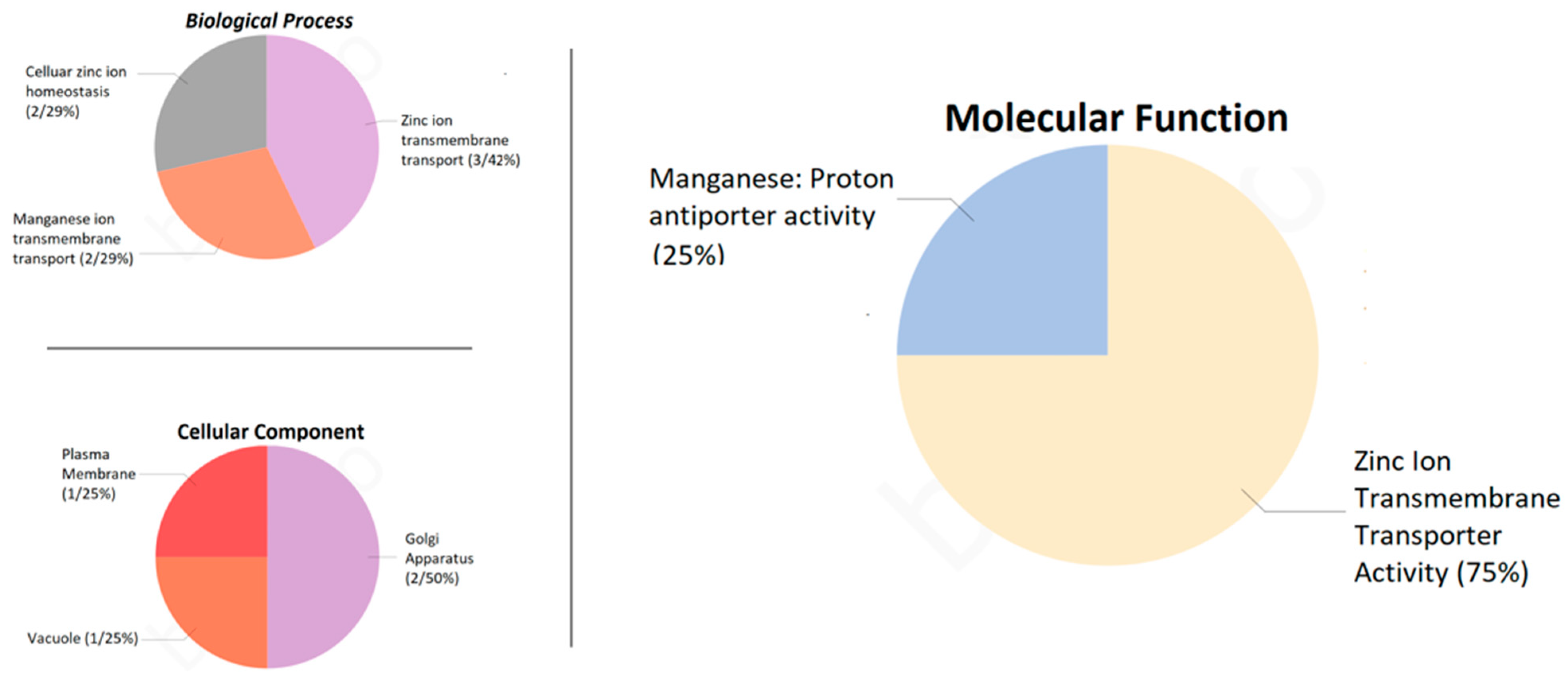 Plants 12 03218 g008