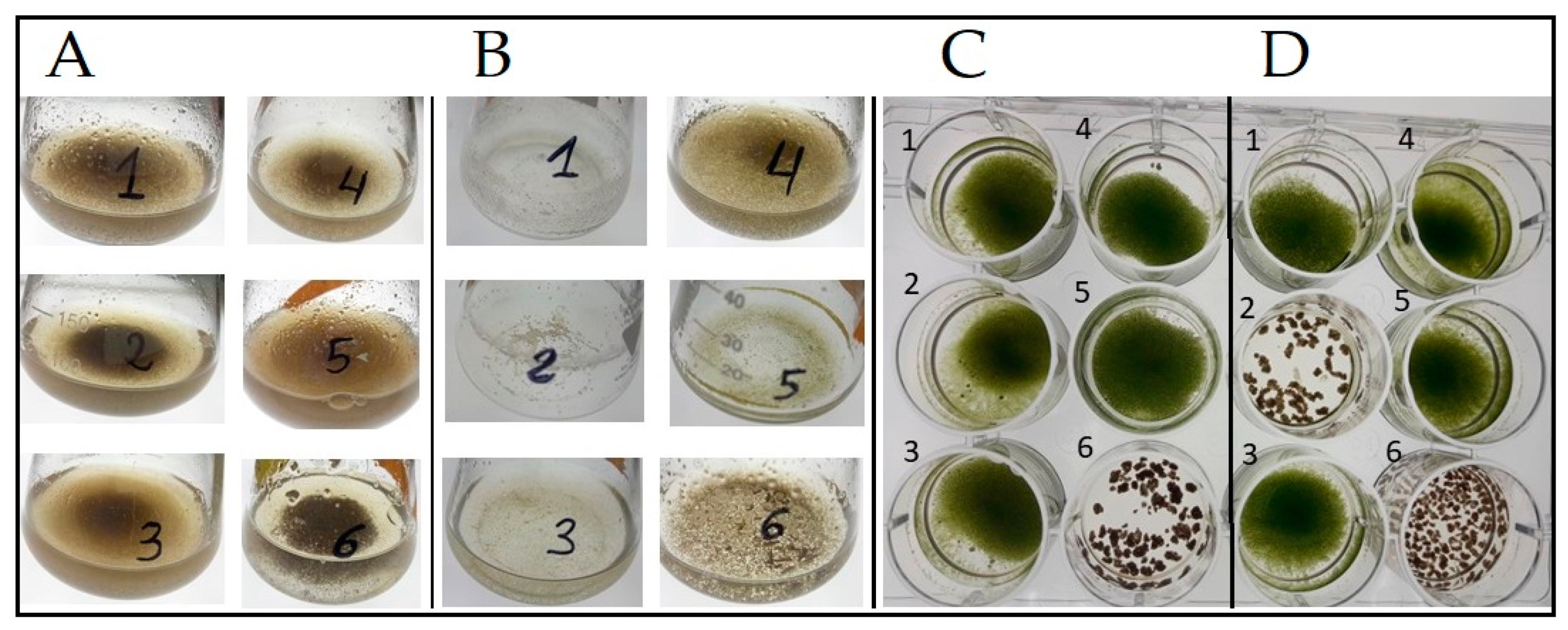 Plants 12 03230 g001 Plants 12 03230 g001