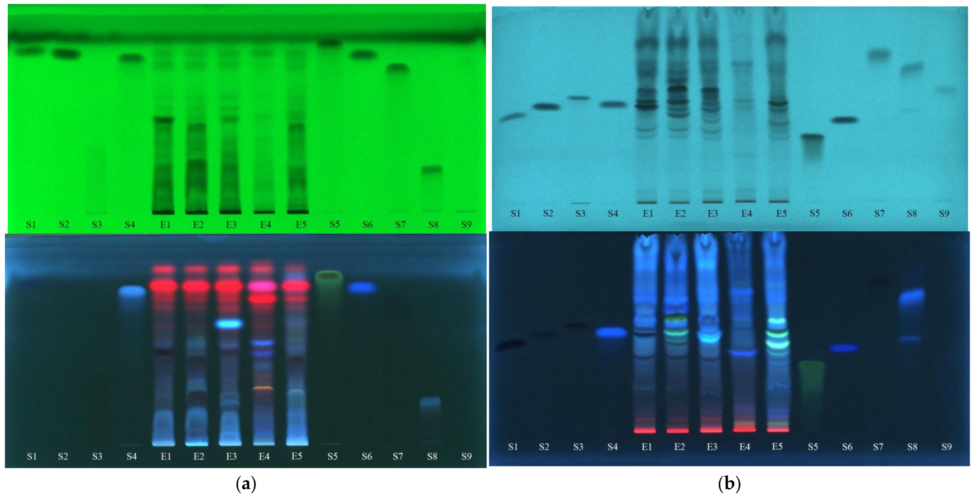 Plants 12 03233 g005