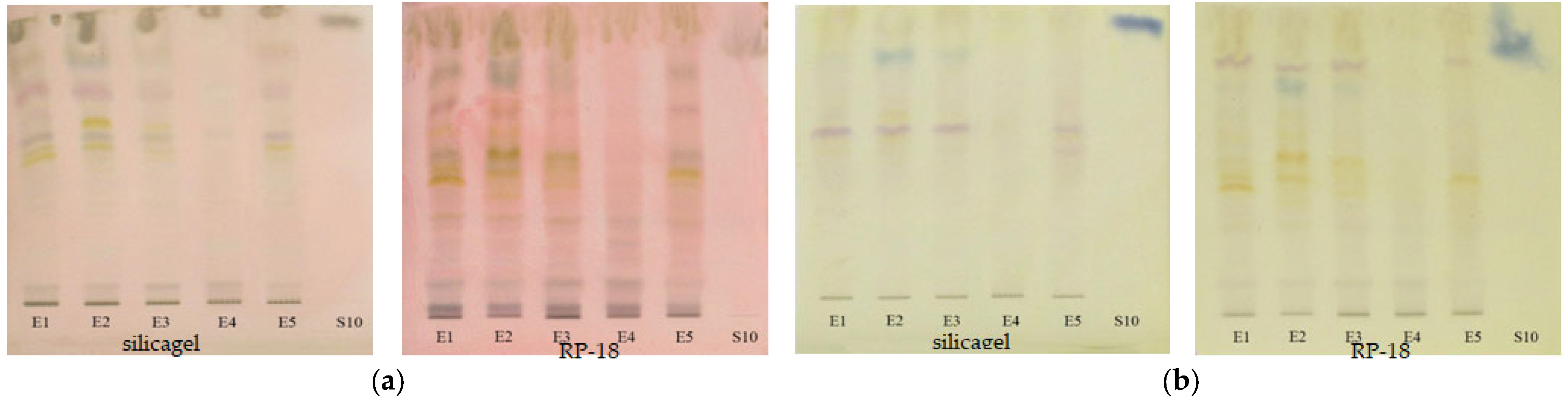 Plants 12 03233 g008