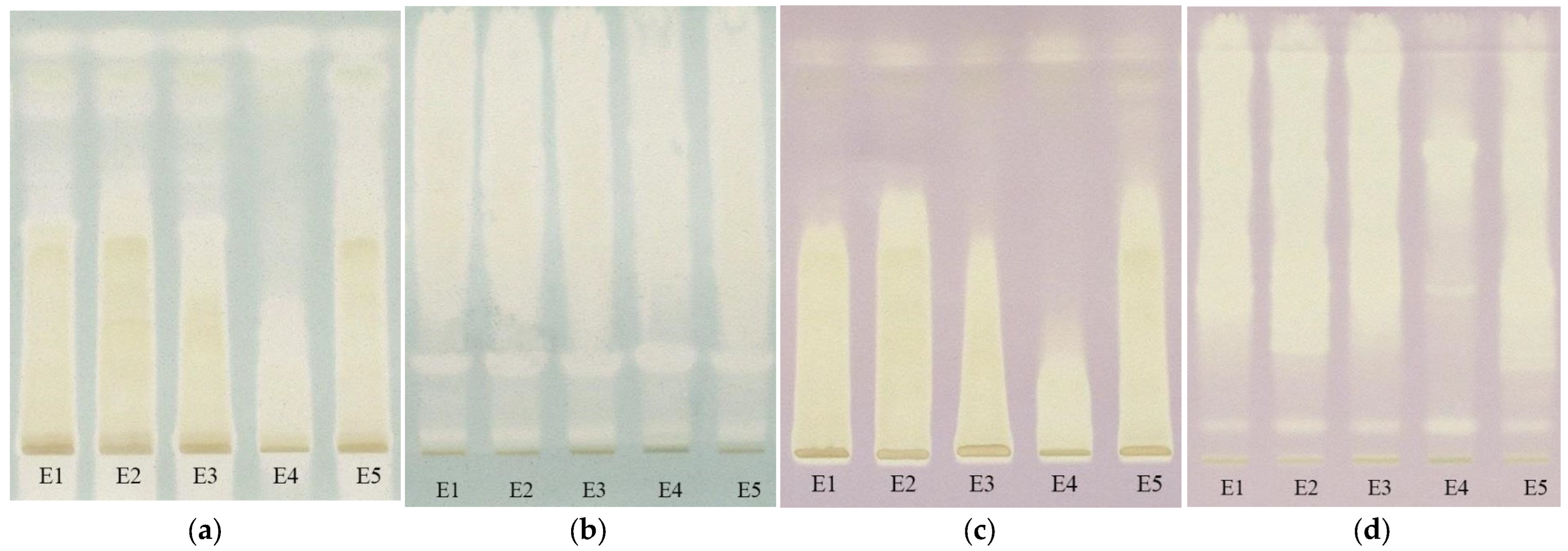 Plants 12 03233 g012