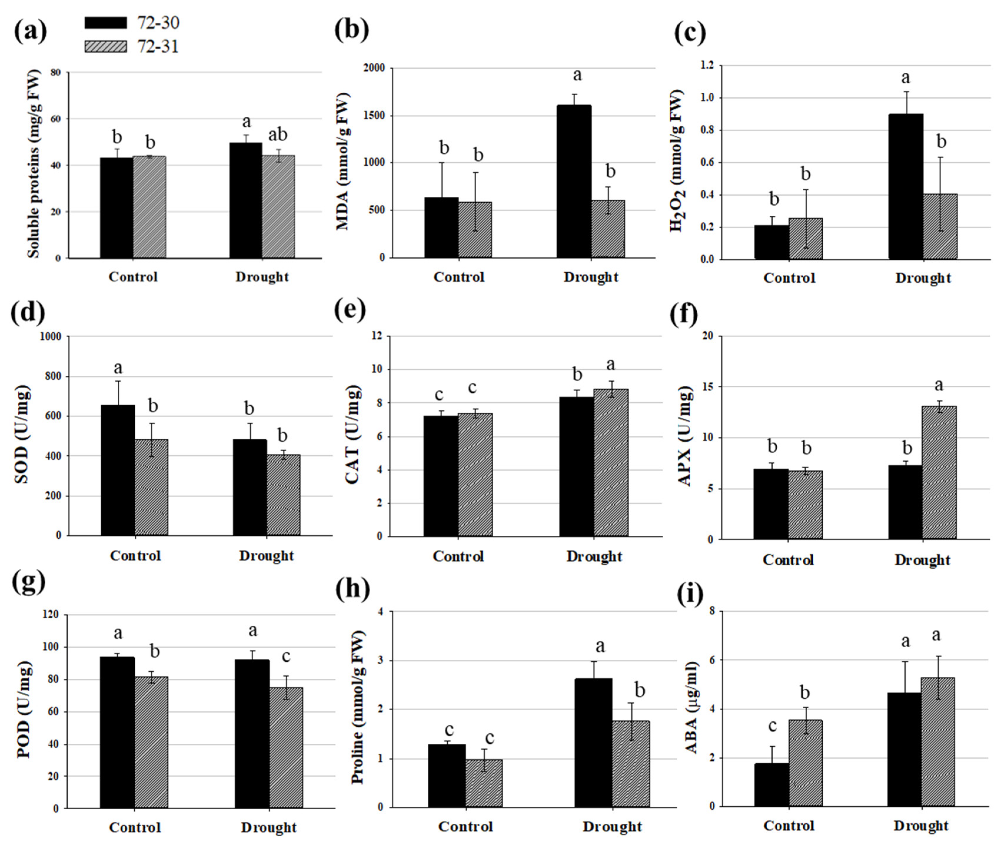 Plants 12 03238 g002