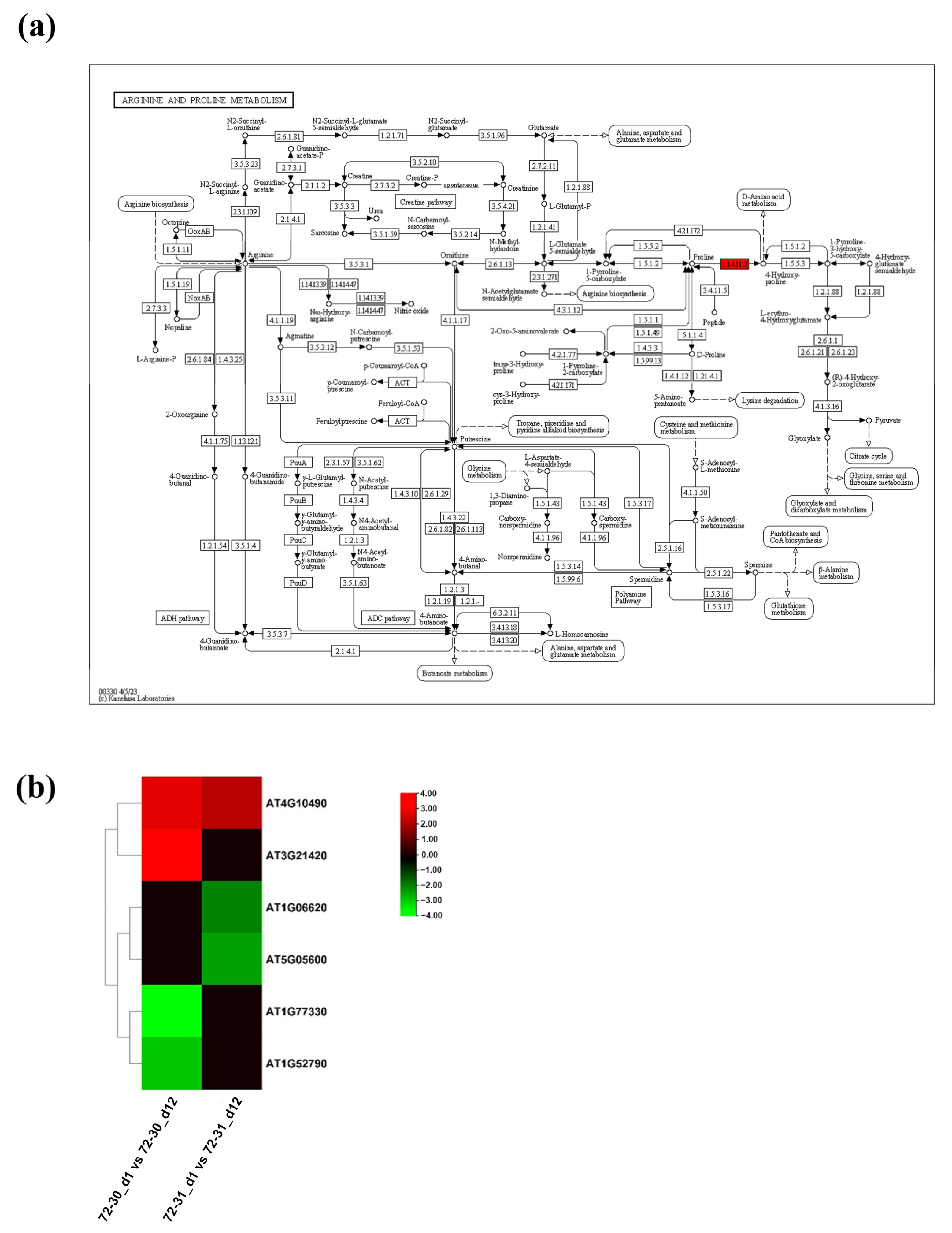 Plants 12 03238 g006