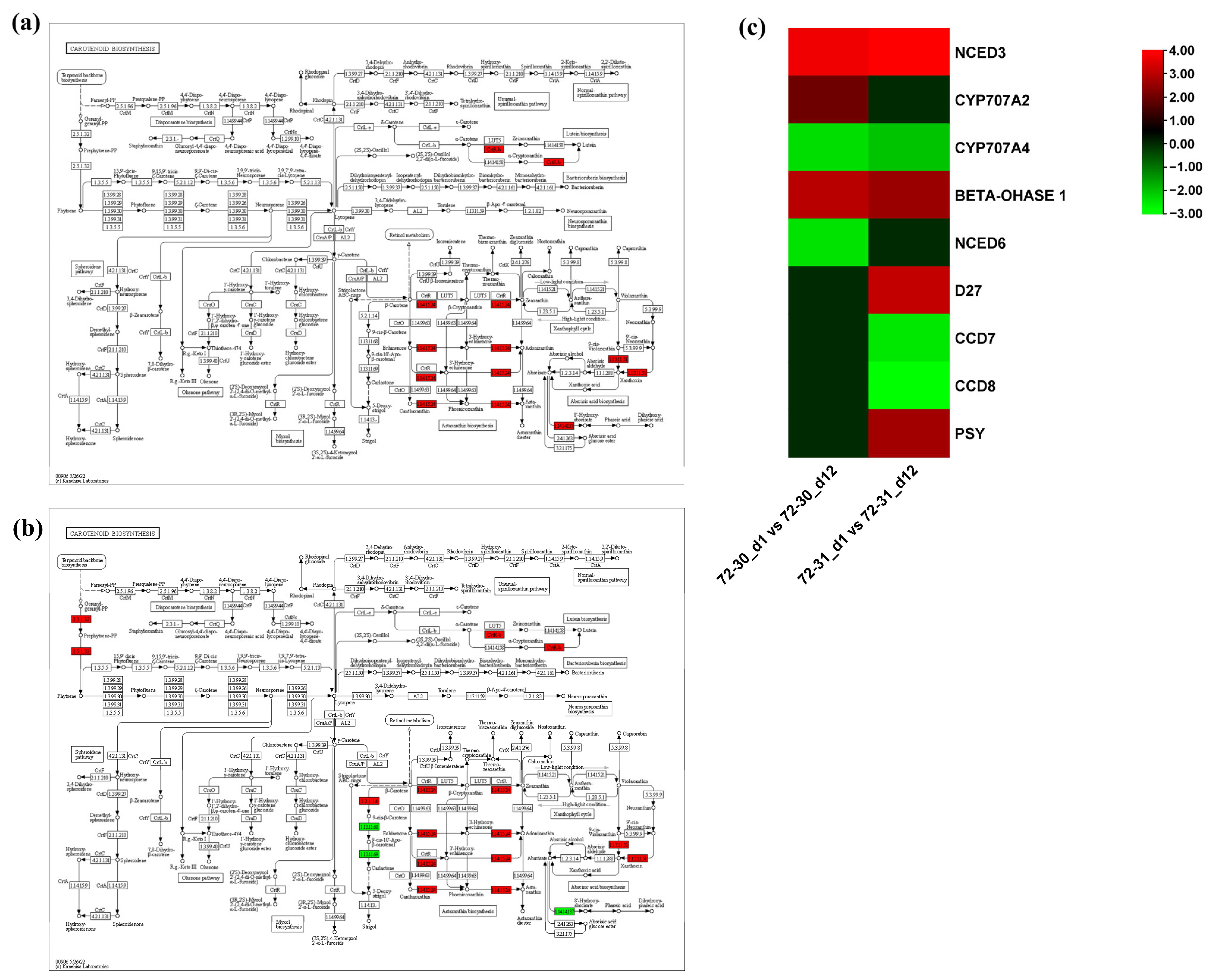 Plants 12 03238 g008