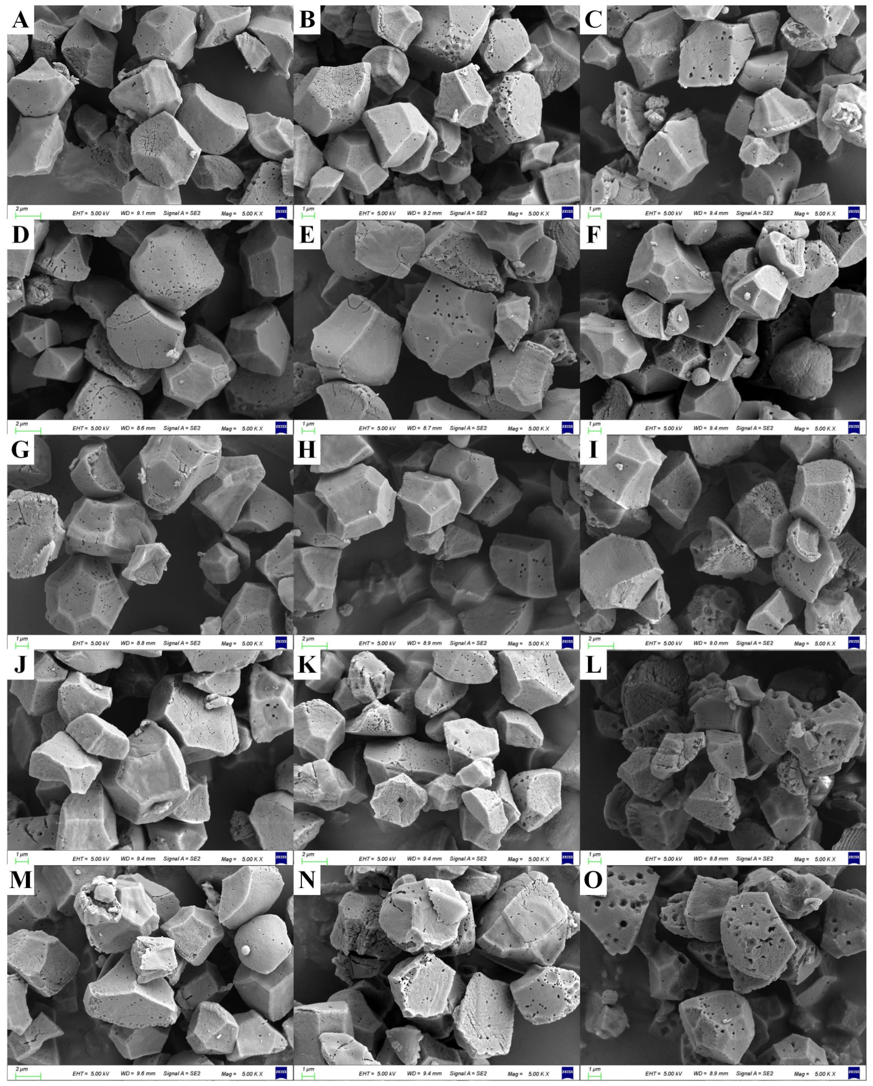 Plants 12 03243 g001