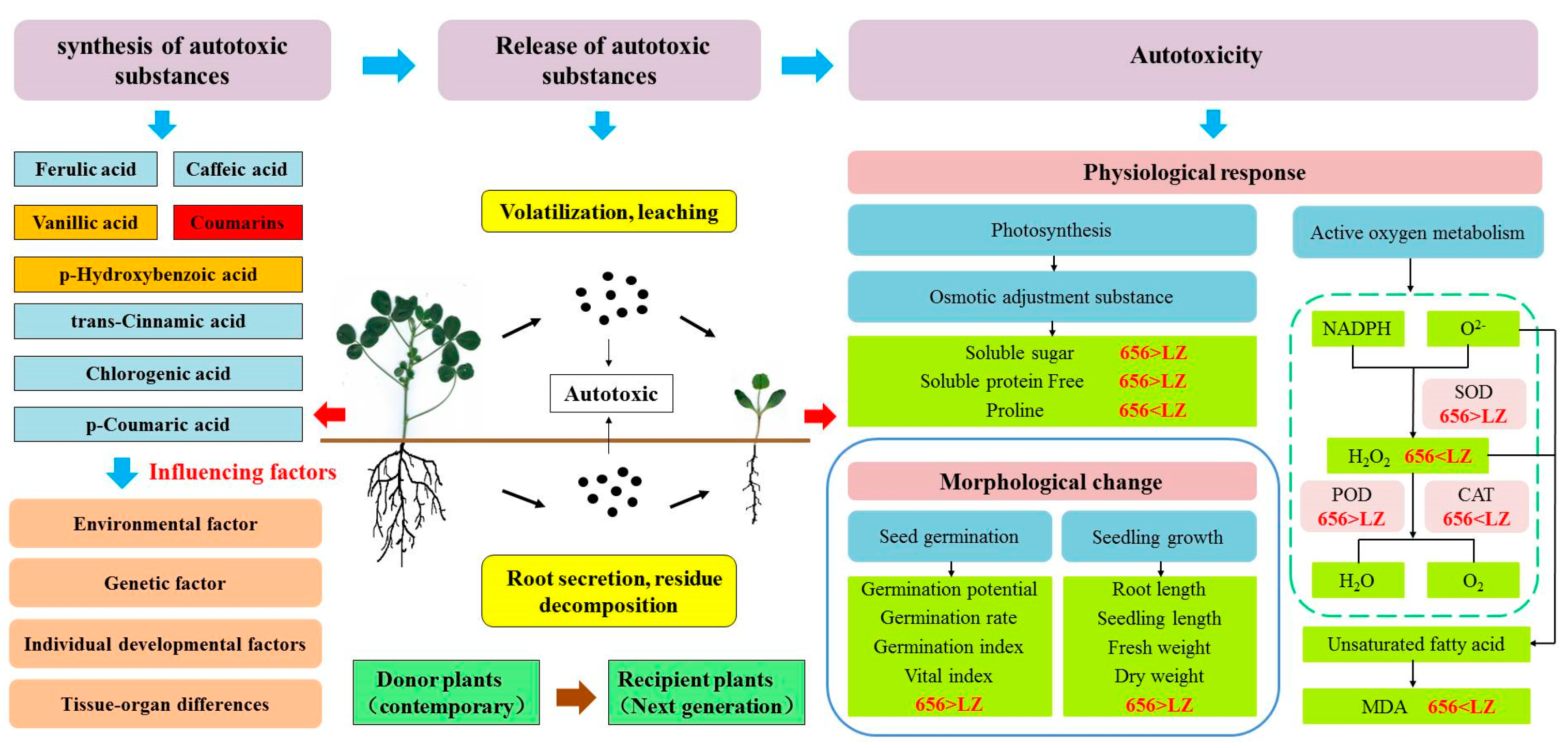 Plants 12 03263 g013