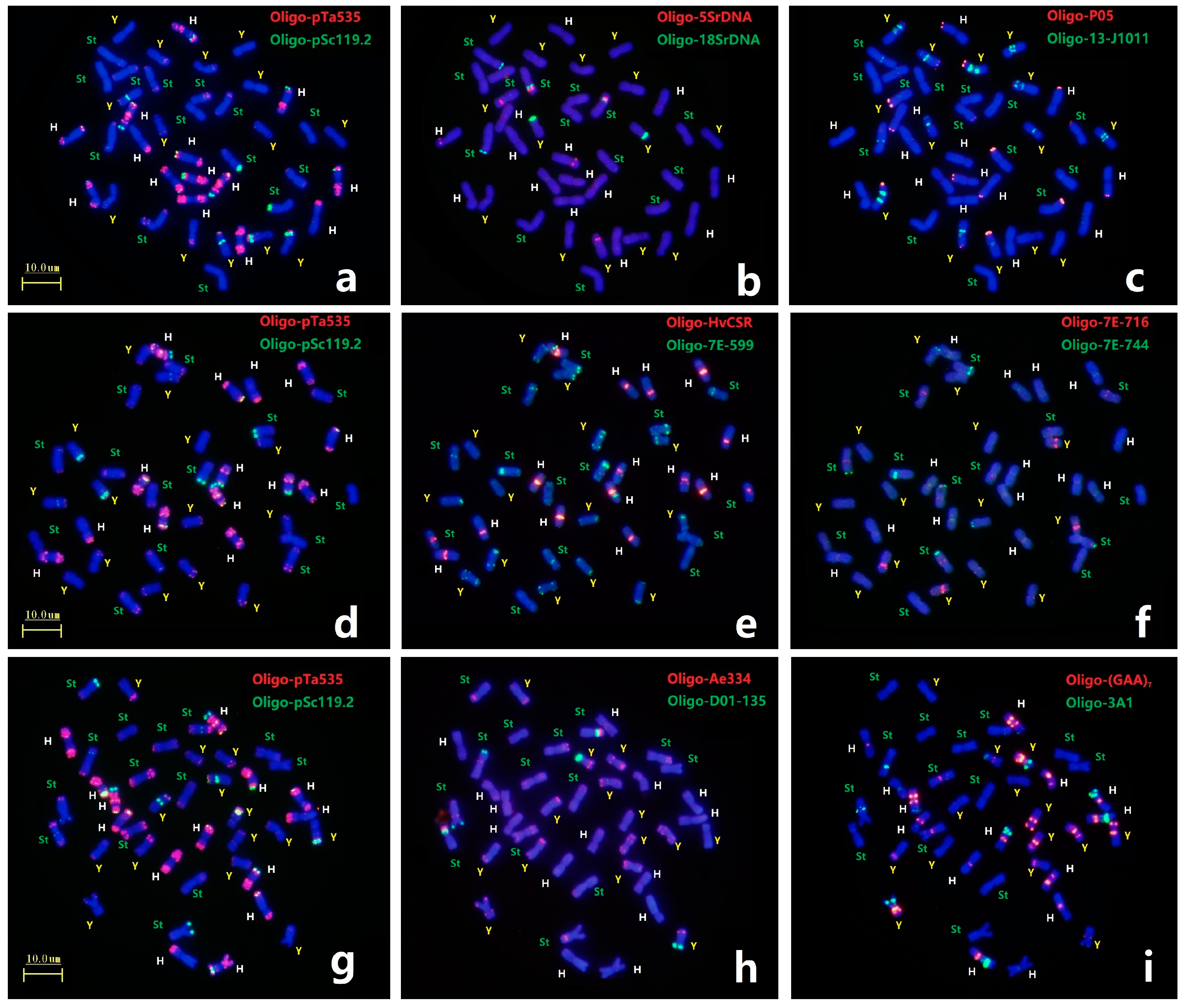 Plants 12 03268 g002