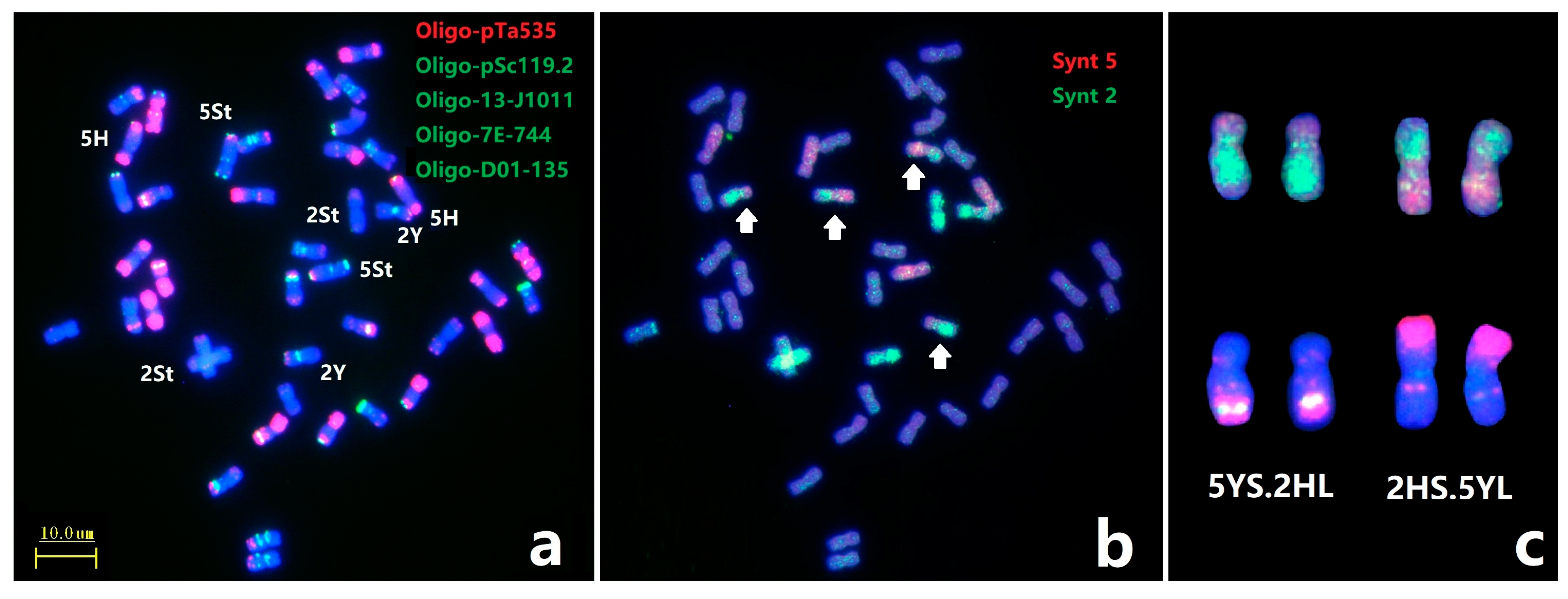 Plants 12 03268 g004