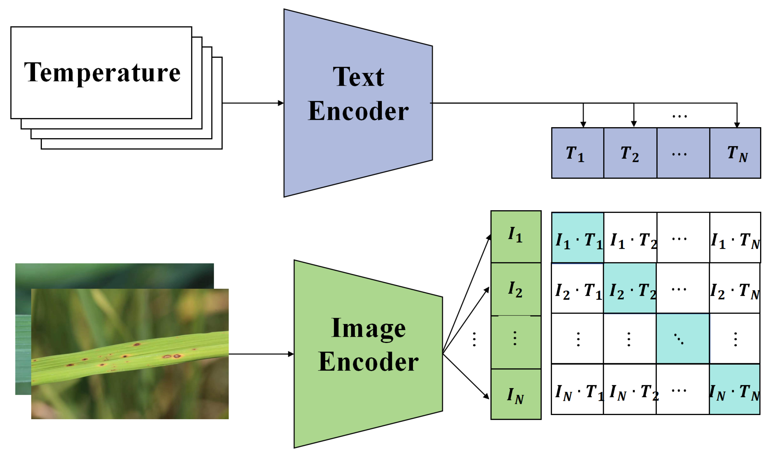 Plants 12 03273 g006