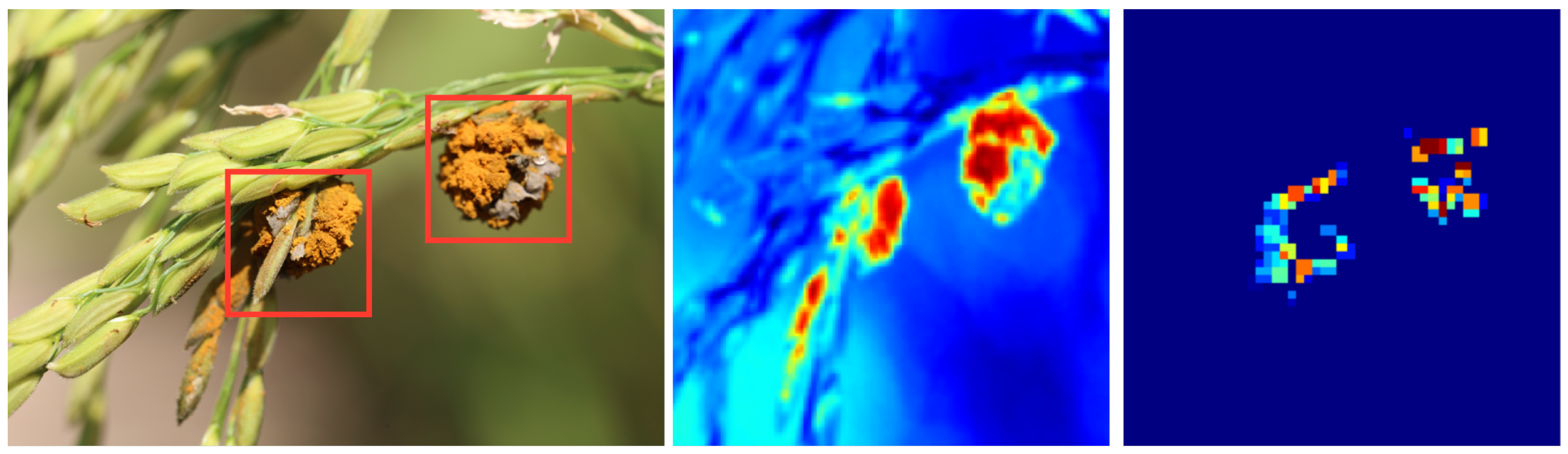 Plants 12 03273 g008