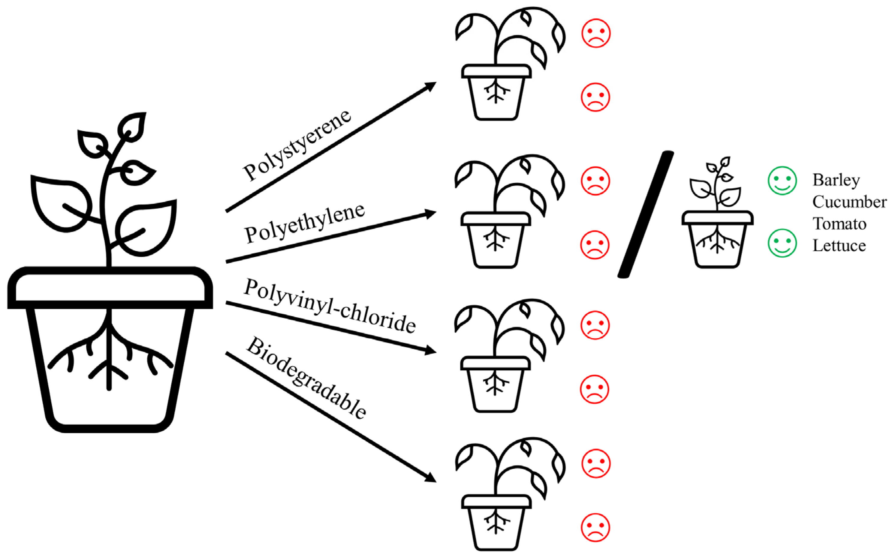 Plants 12 03282 g001