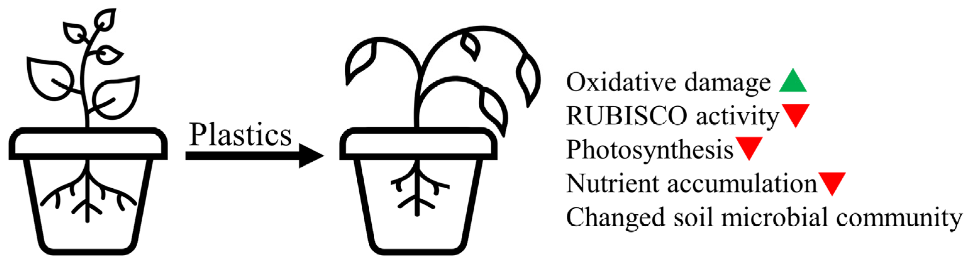 Plants 12 03282 g002