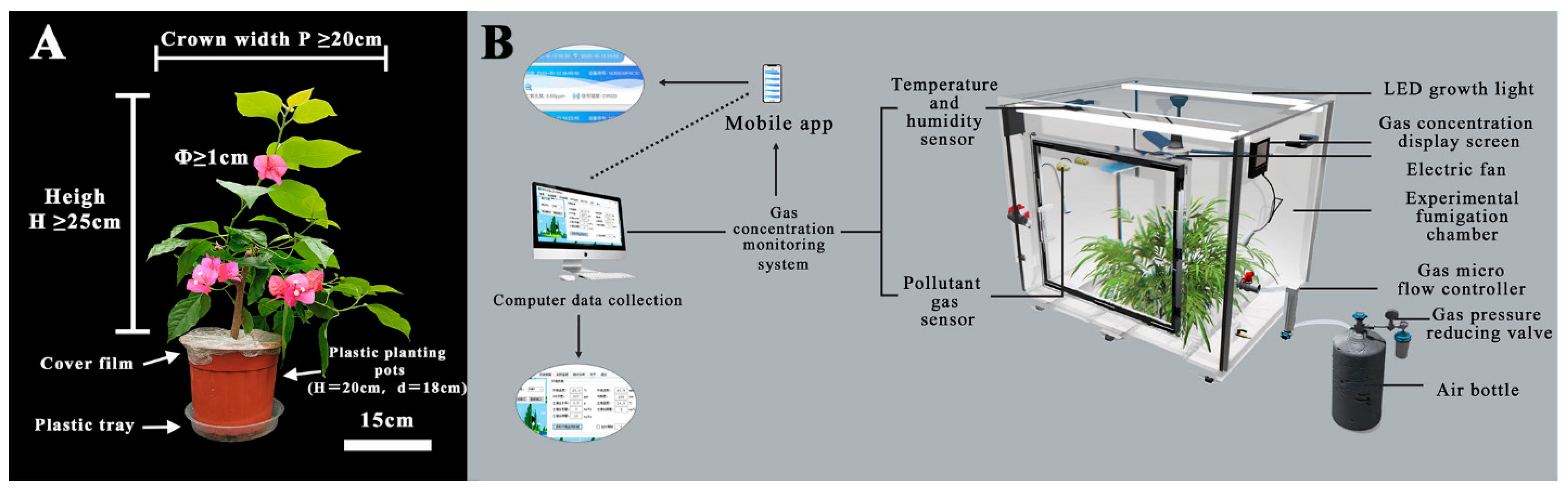 Plants 12 03283 g009
