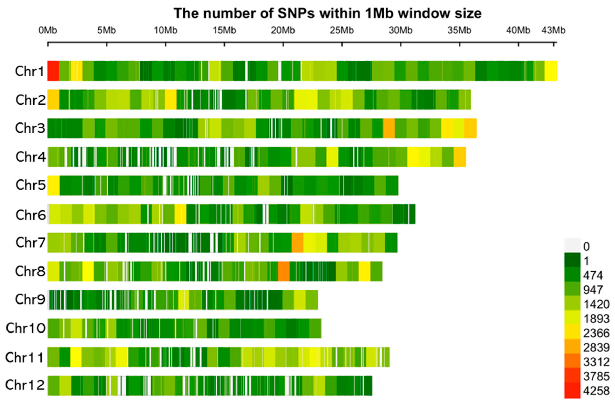 Plants 12 03290 g003