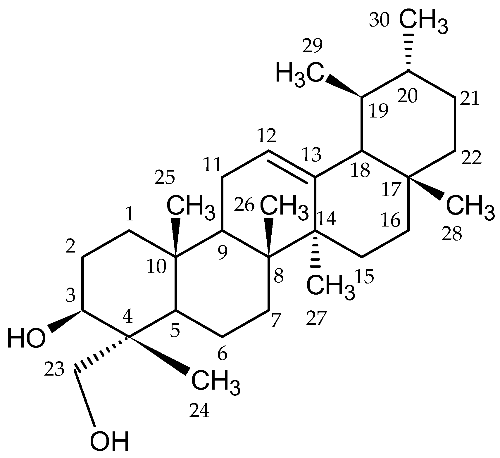 Plants 12 03297 g001