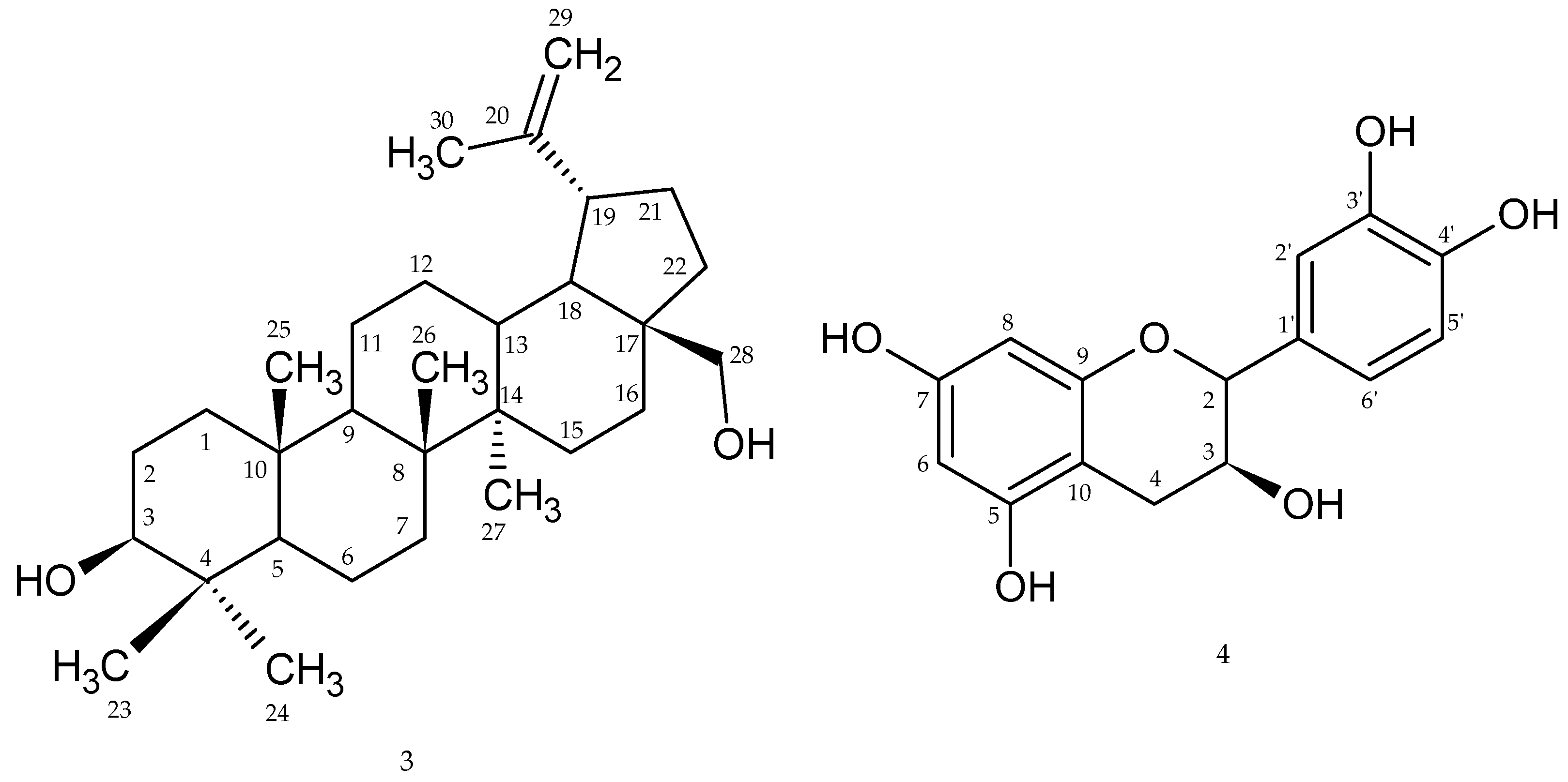 Plants 12 03297 g002