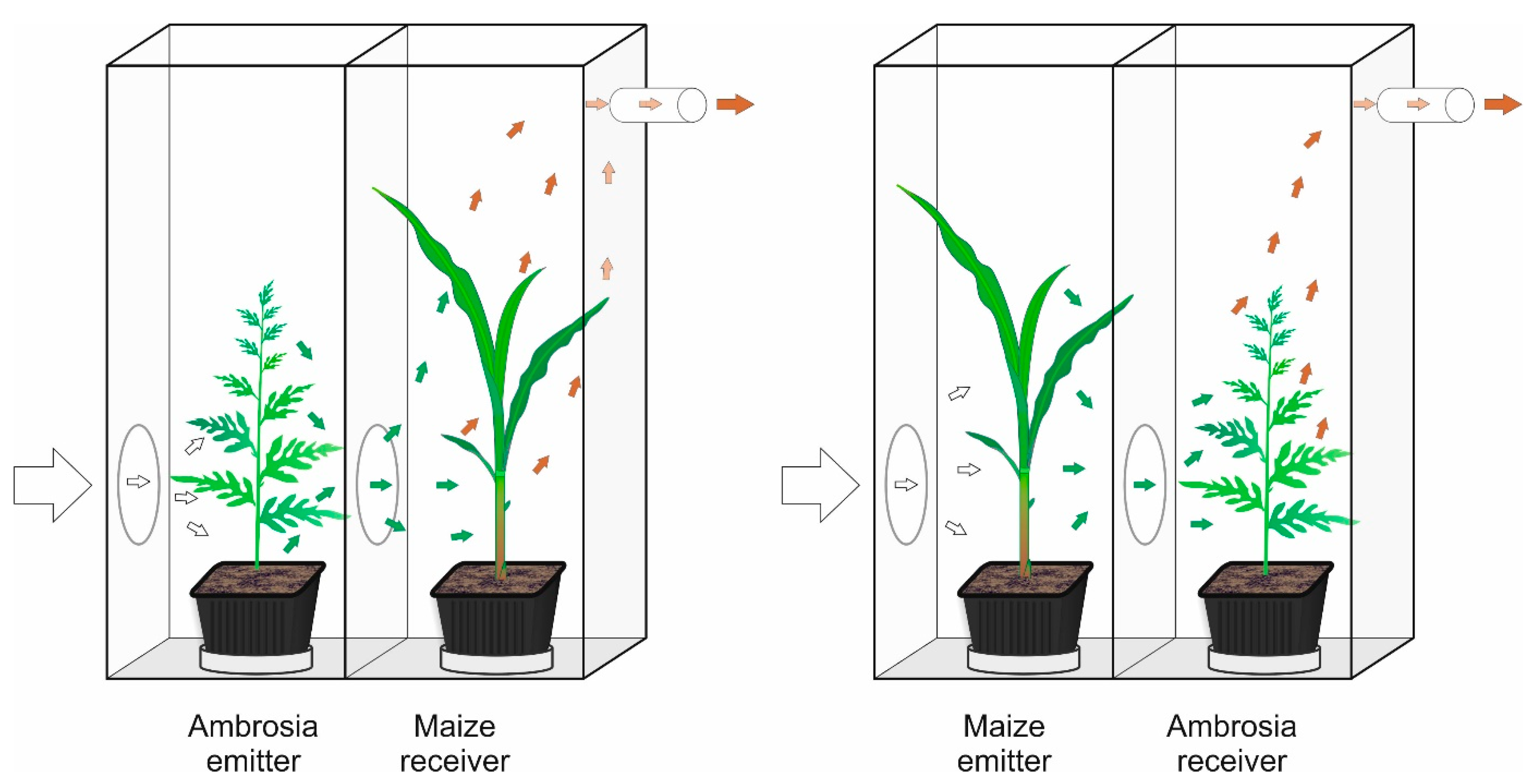 Plants 12 03298 g008