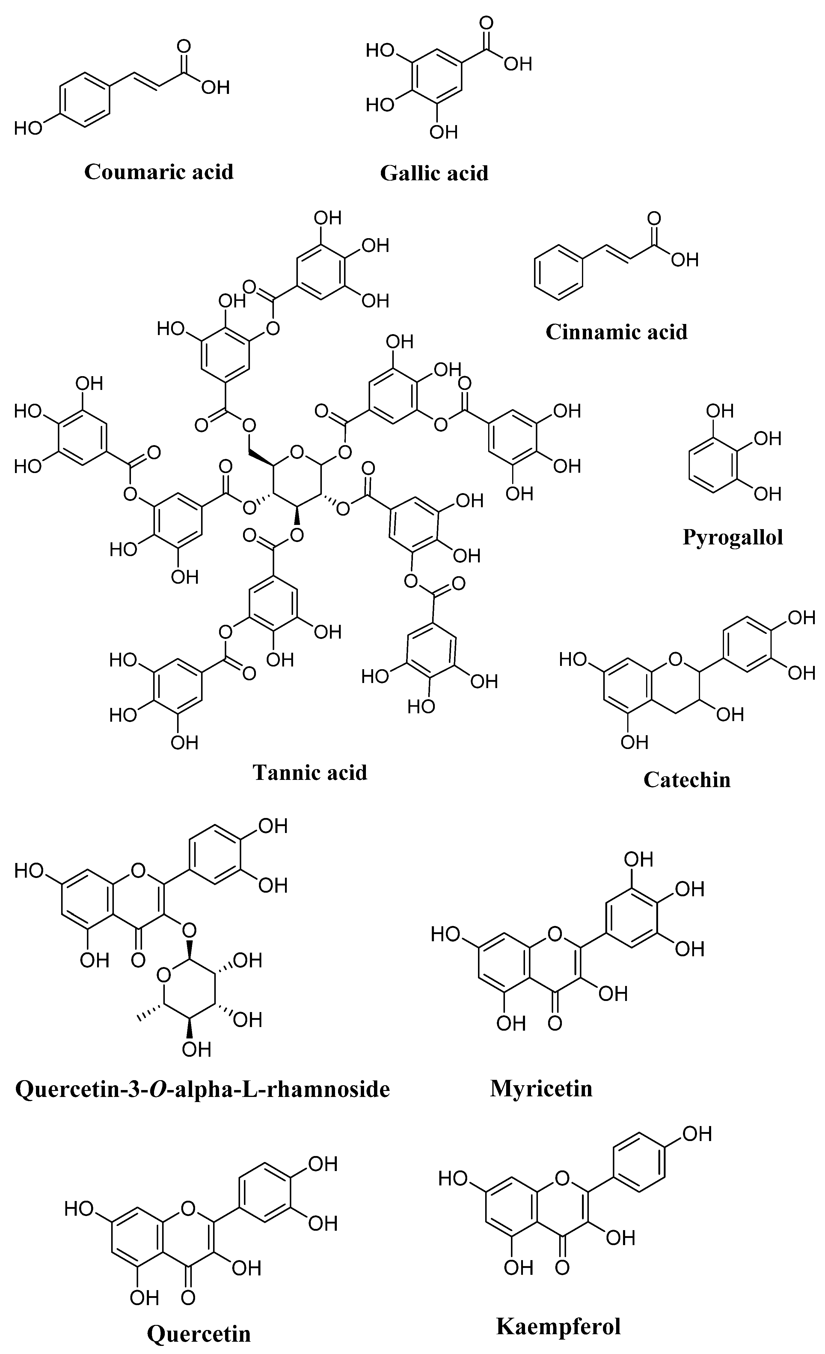 Plants 12 03303 g002